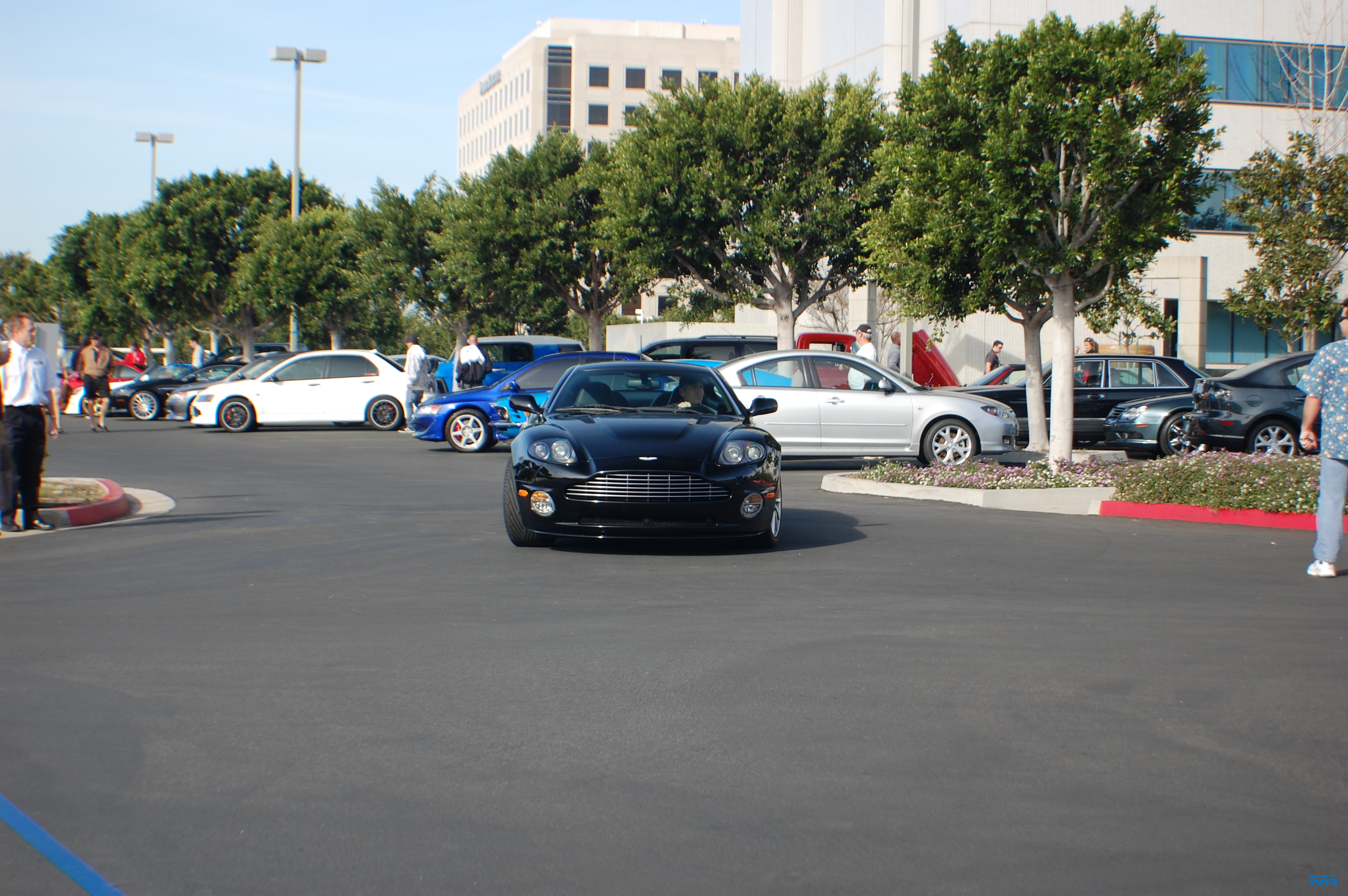 DSC_1231.JPG
