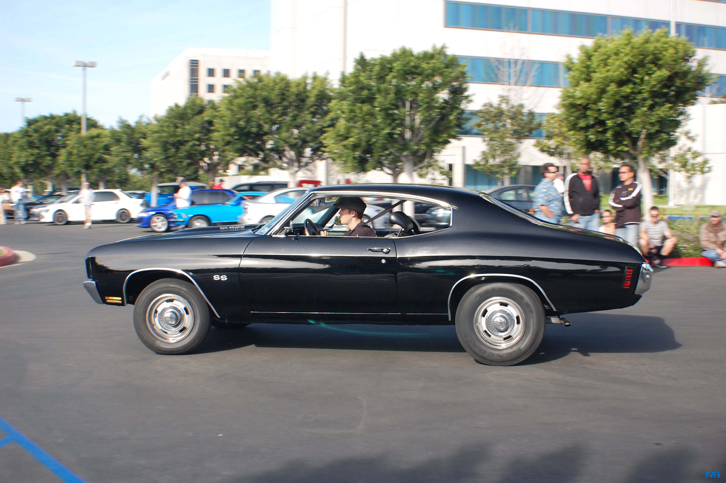 DSC_1234.JPG
