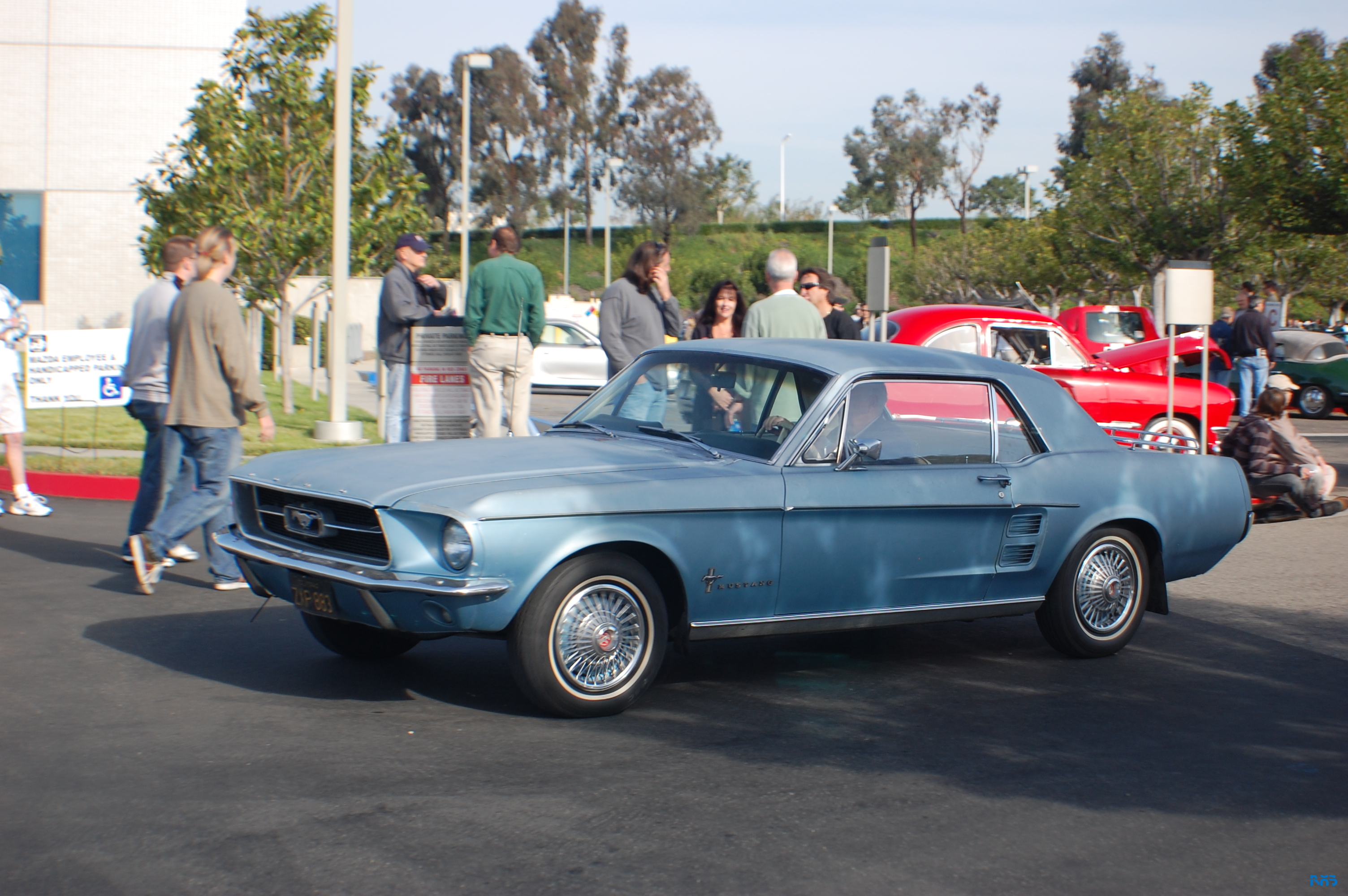 DSC_1236.JPG