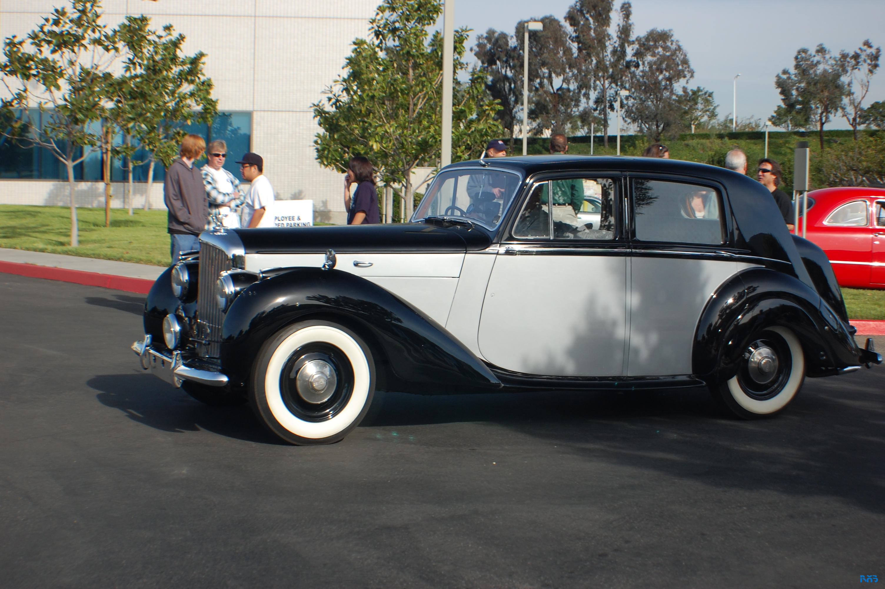 DSC_1241.JPG