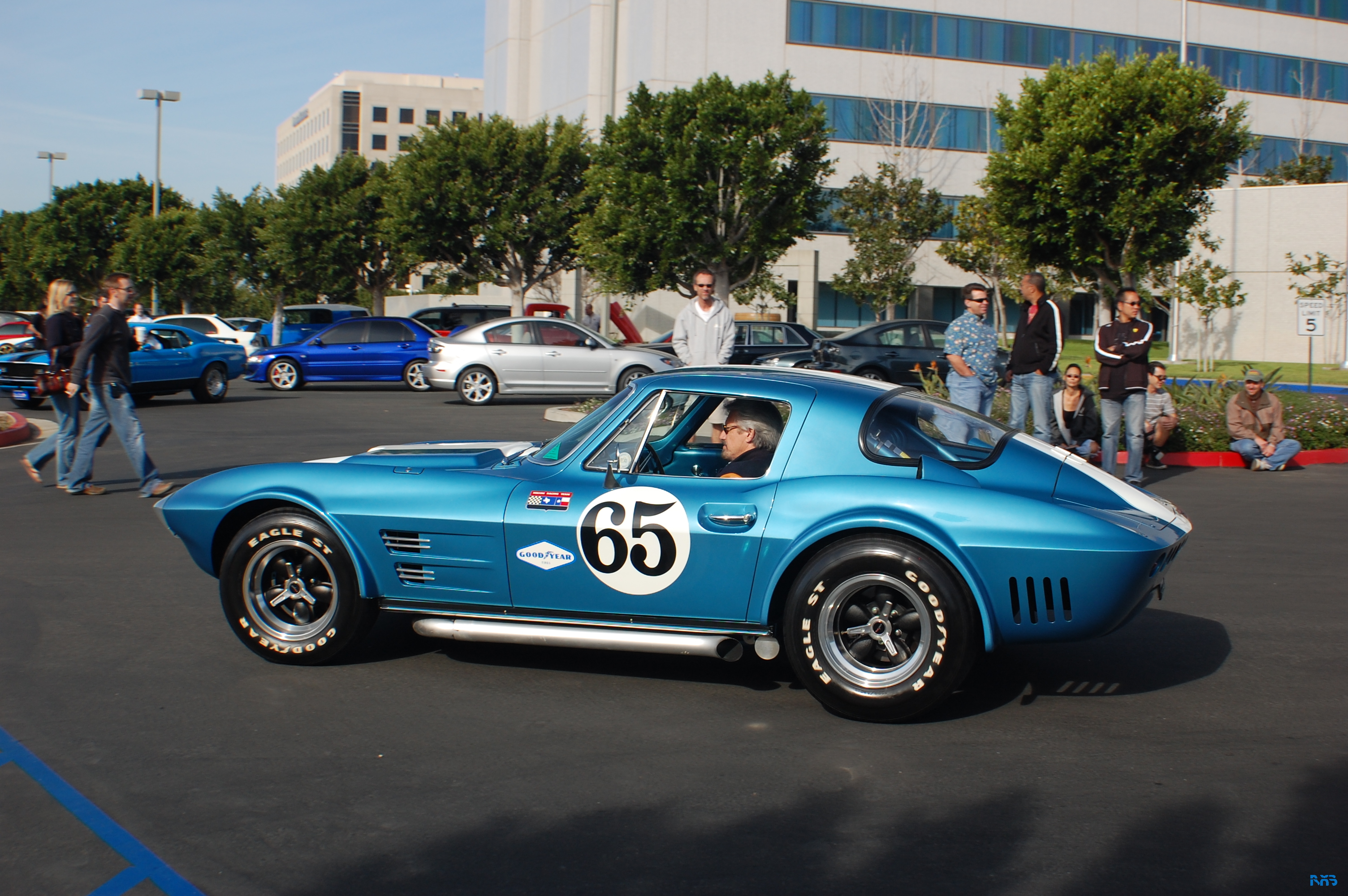 DSC_1250.JPG