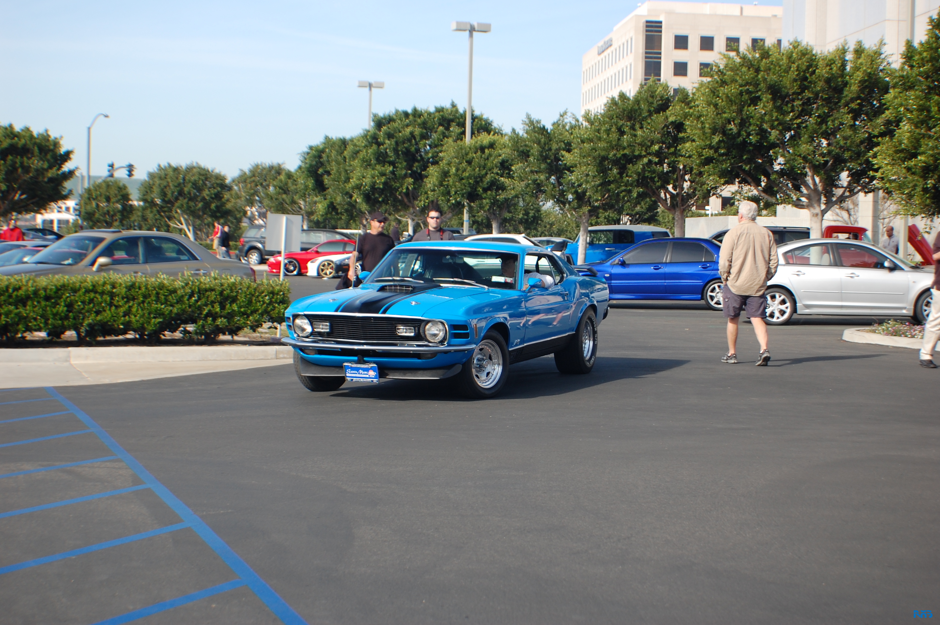DSC_1254.JPG