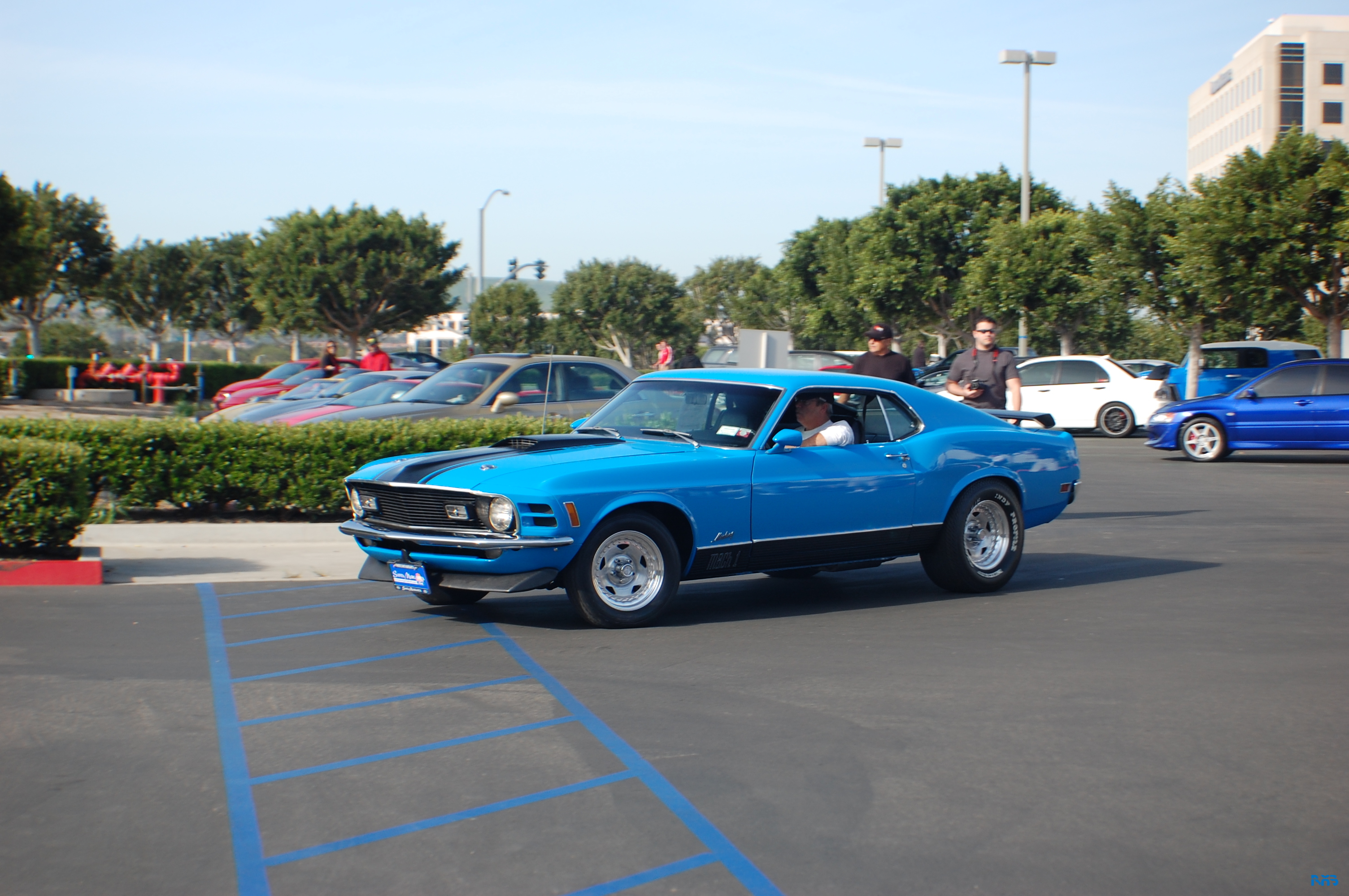DSC_1255.JPG