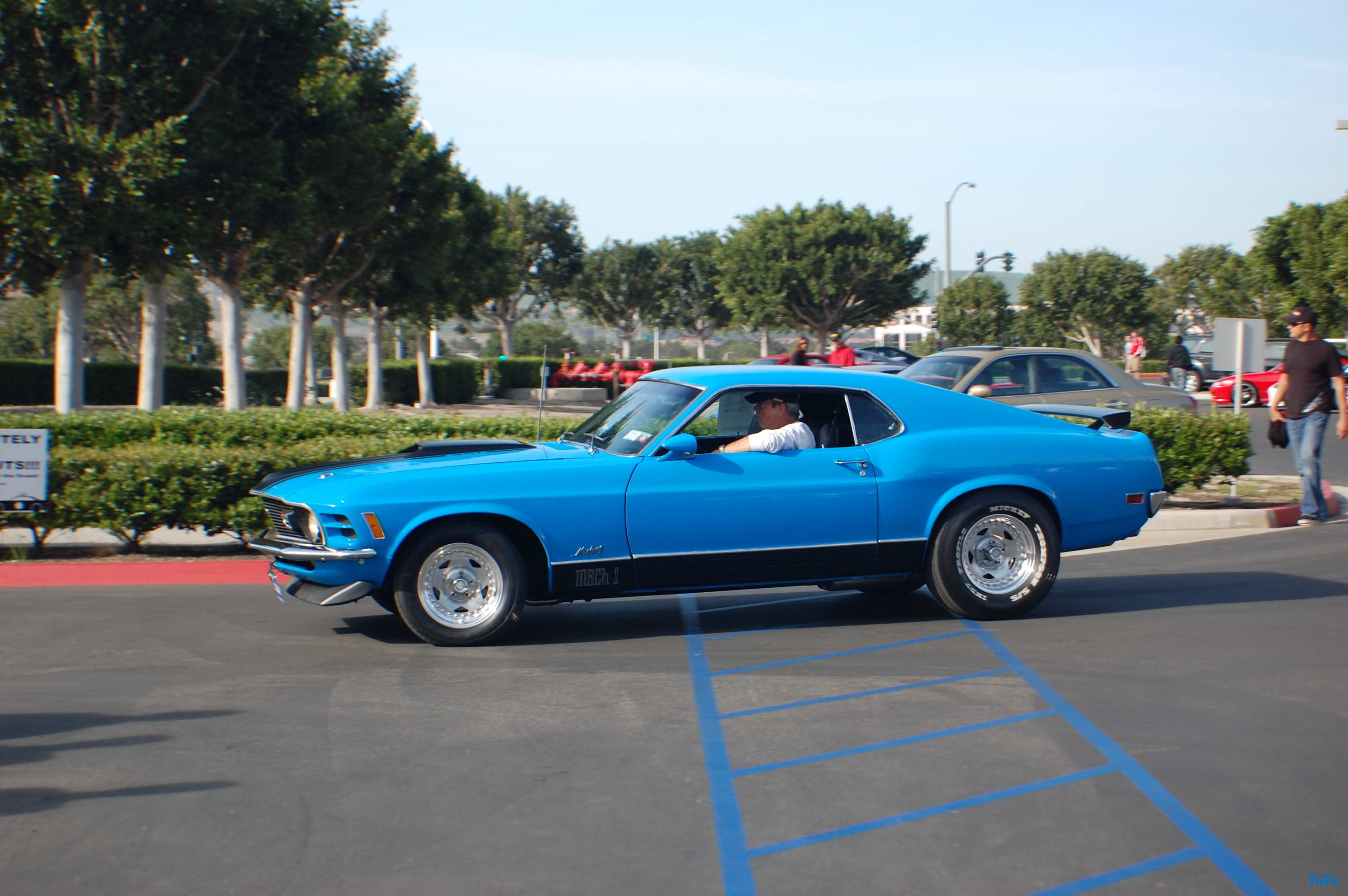 DSC_1256.JPG