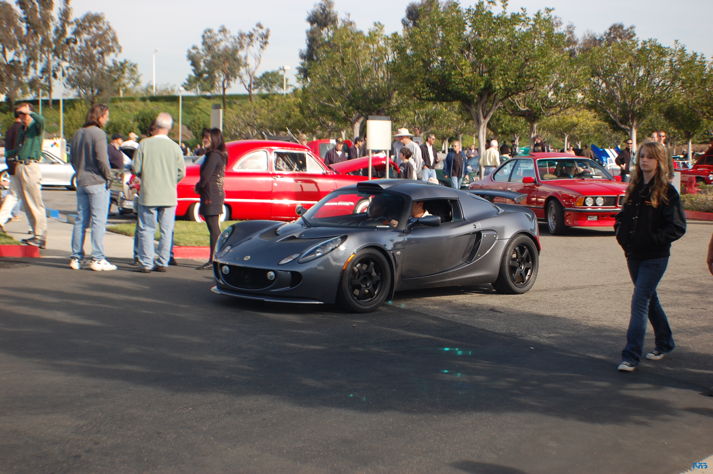DSC_1260.JPG