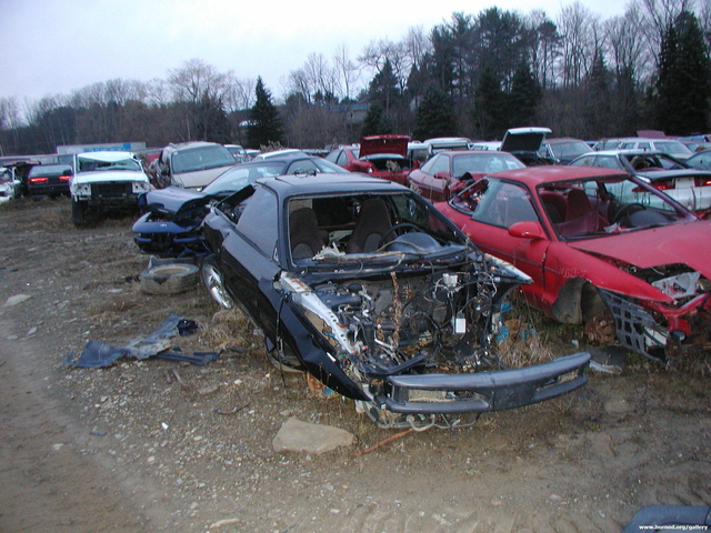 Picture 013.jpg