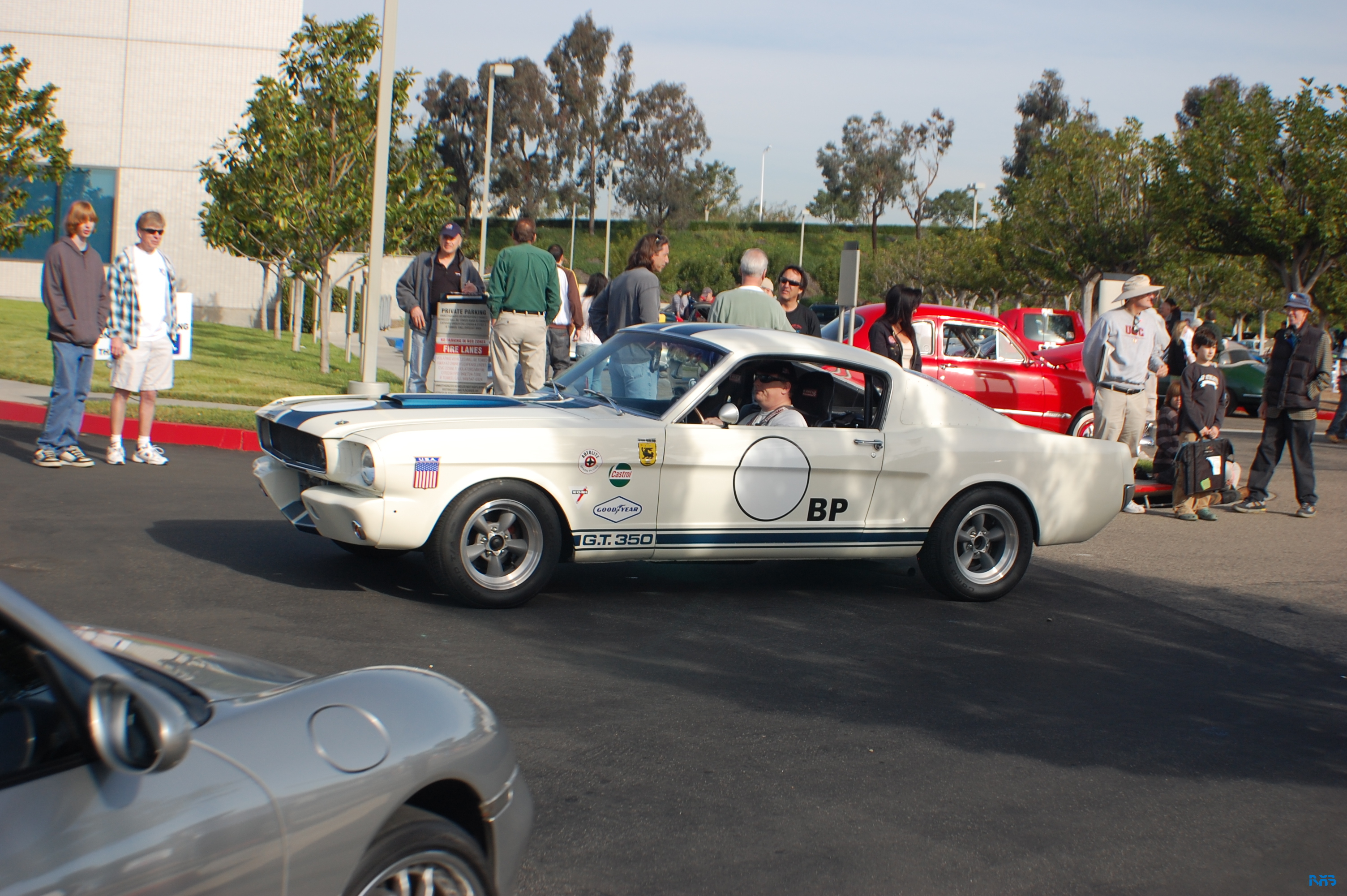 DSC_1267.JPG