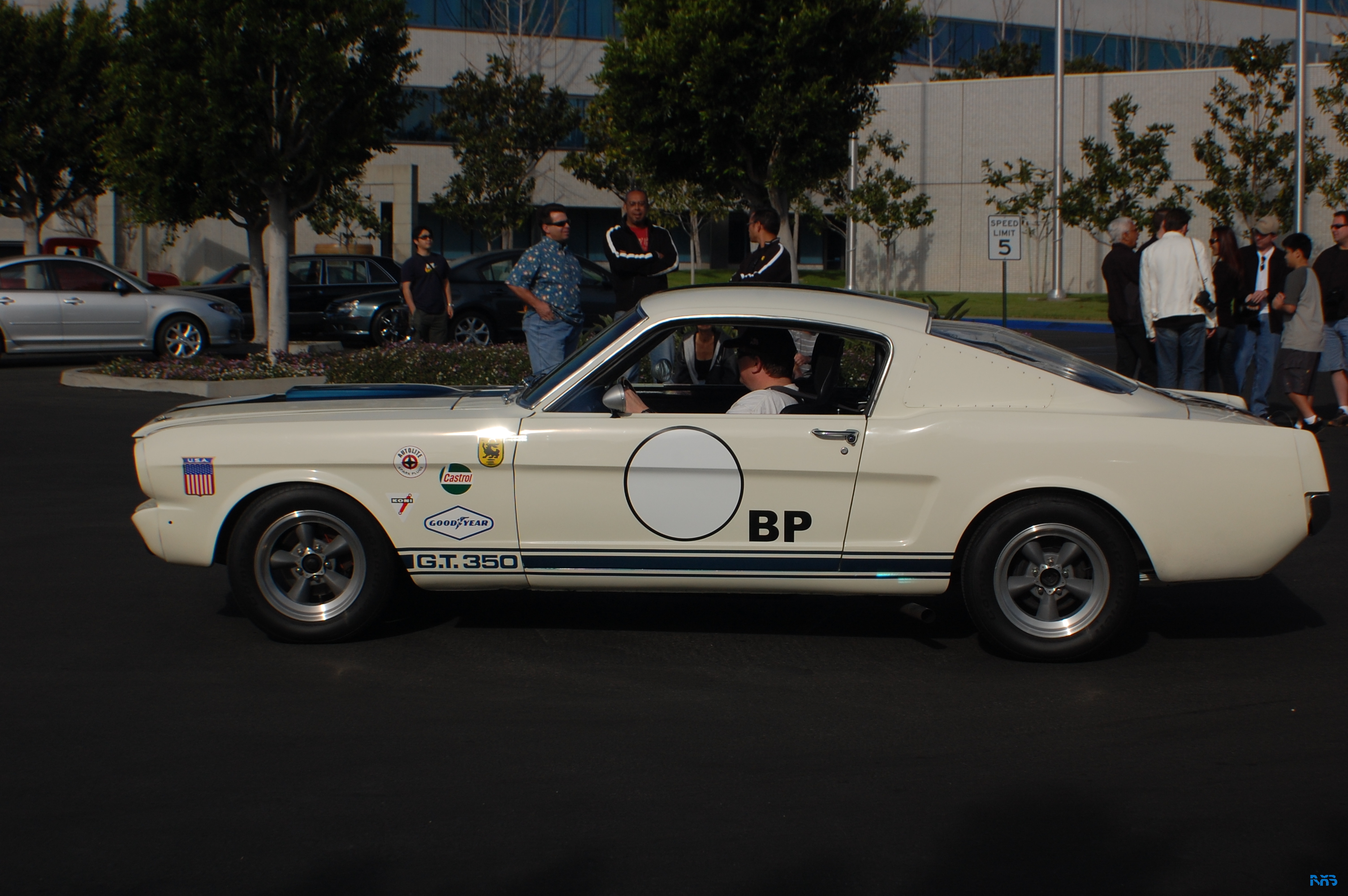 DSC_1269.JPG