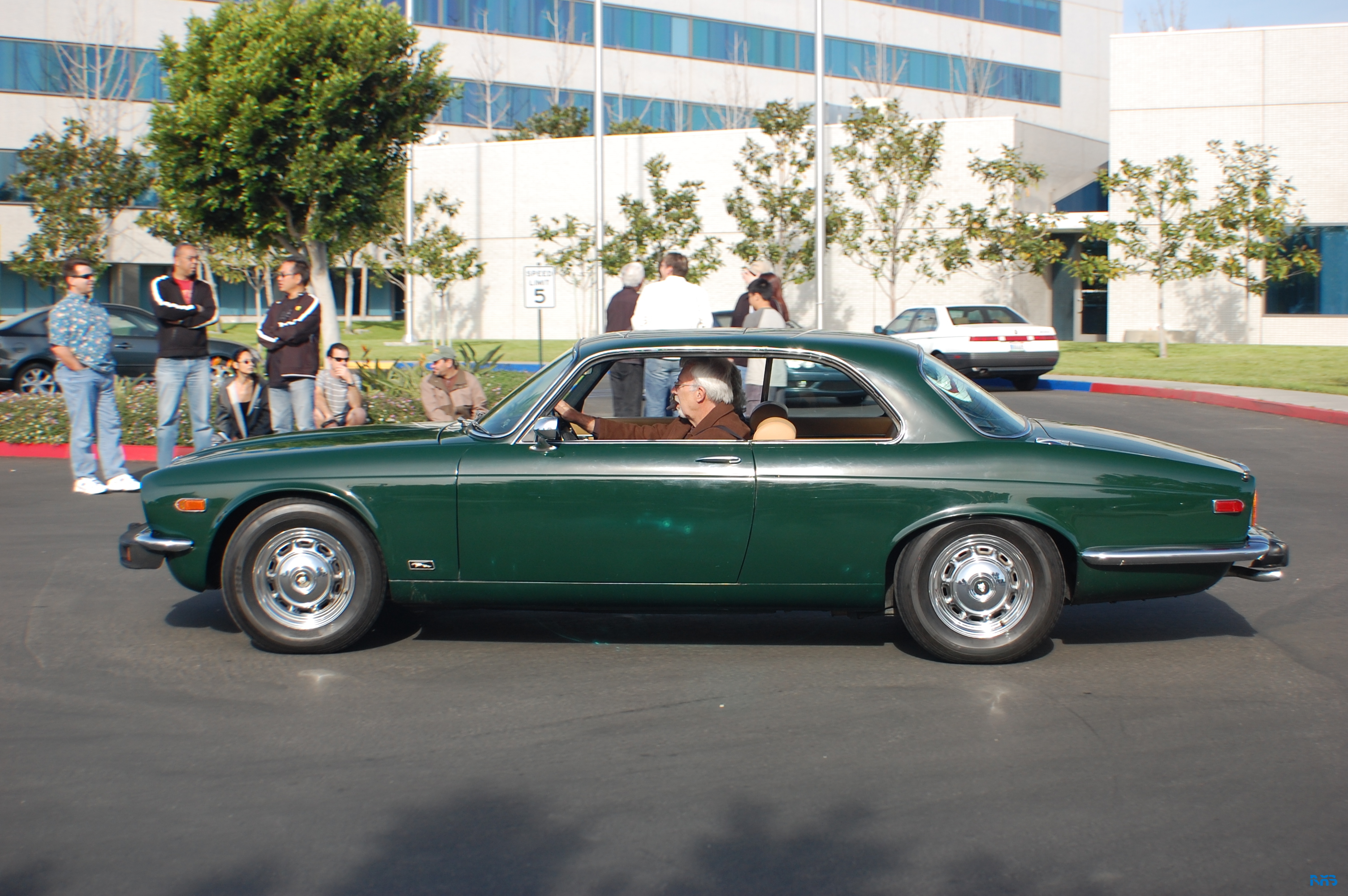 DSC_1273.JPG