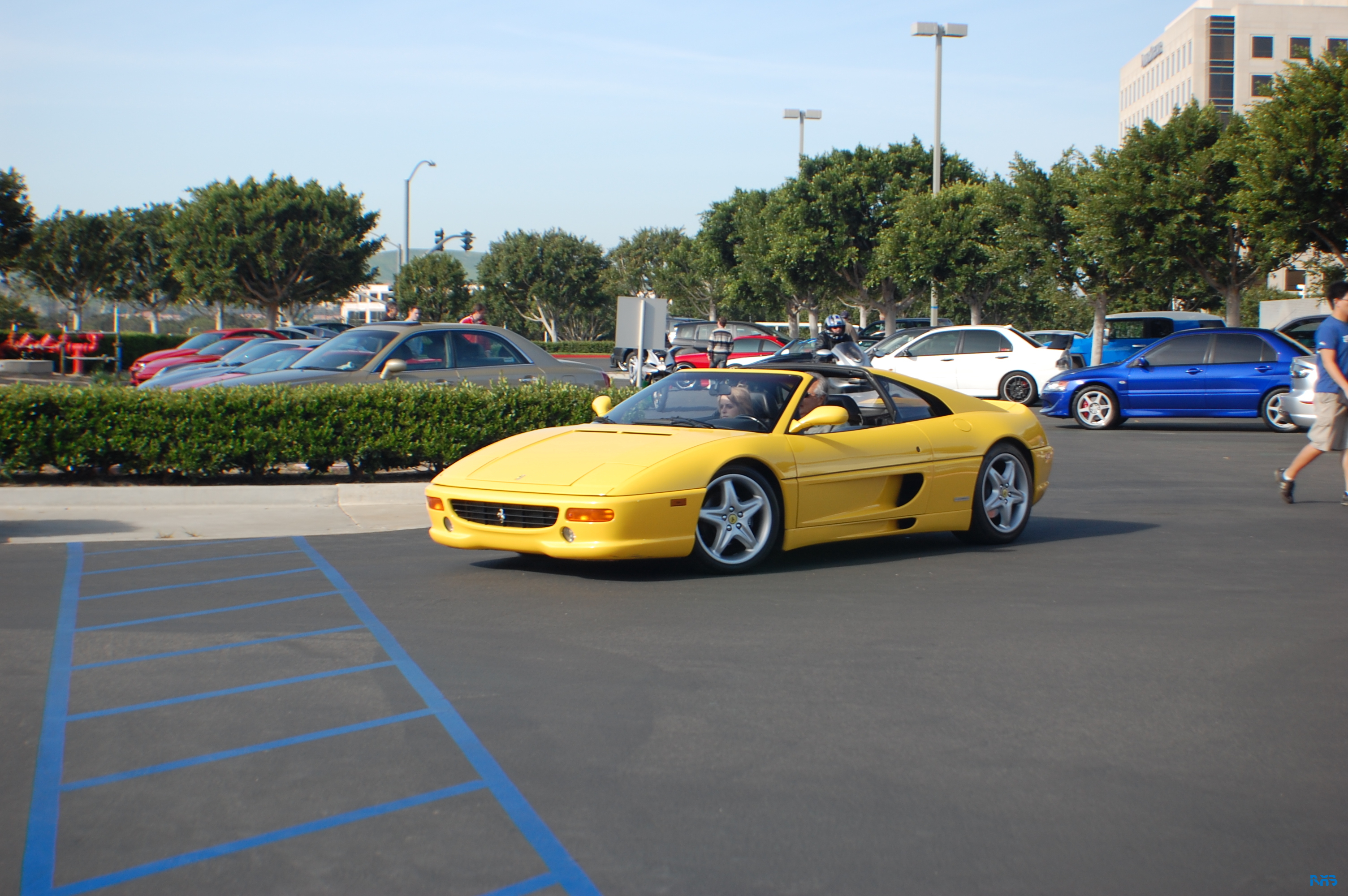 DSC_1275.JPG