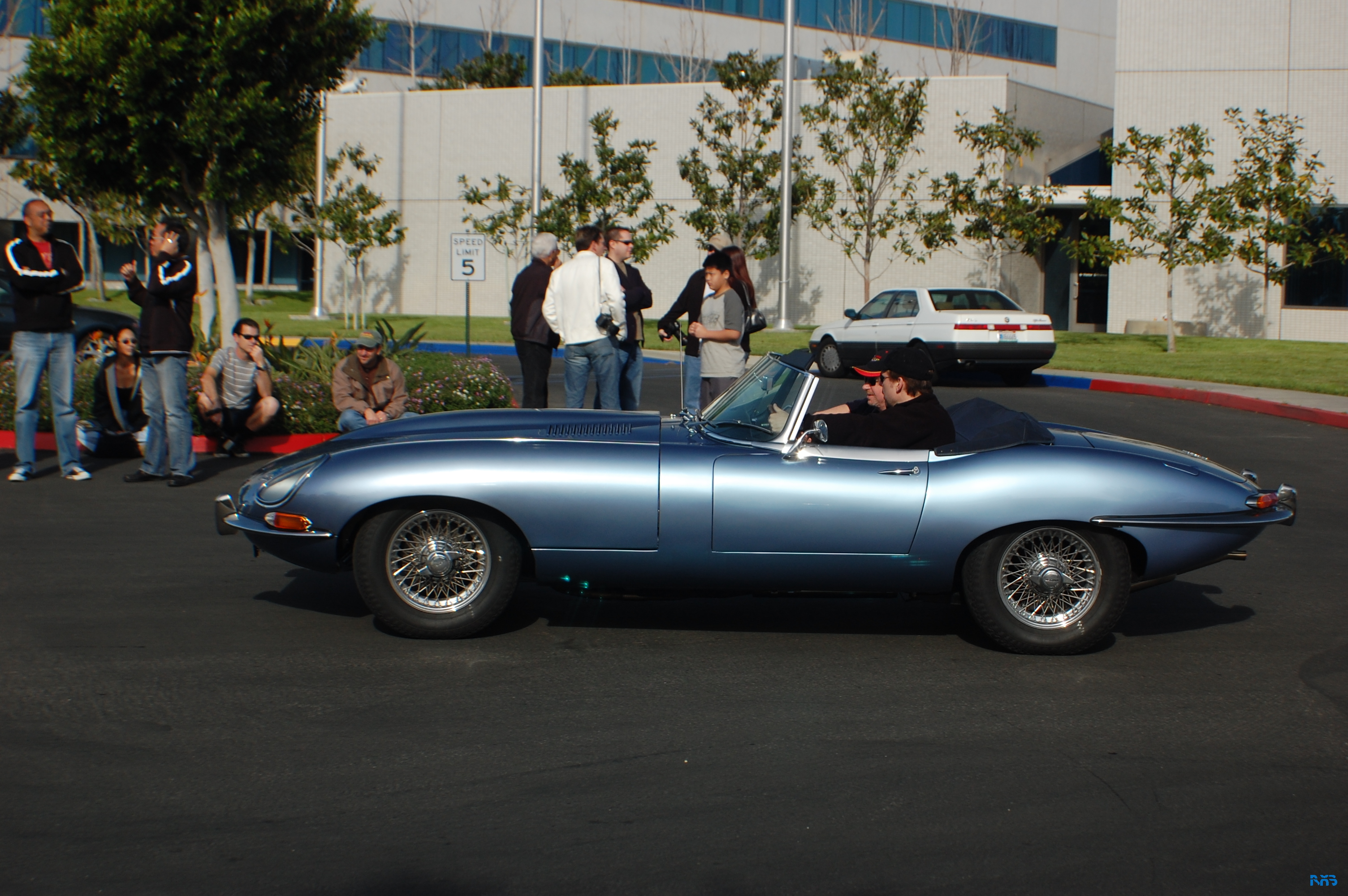 DSC_1297.JPG