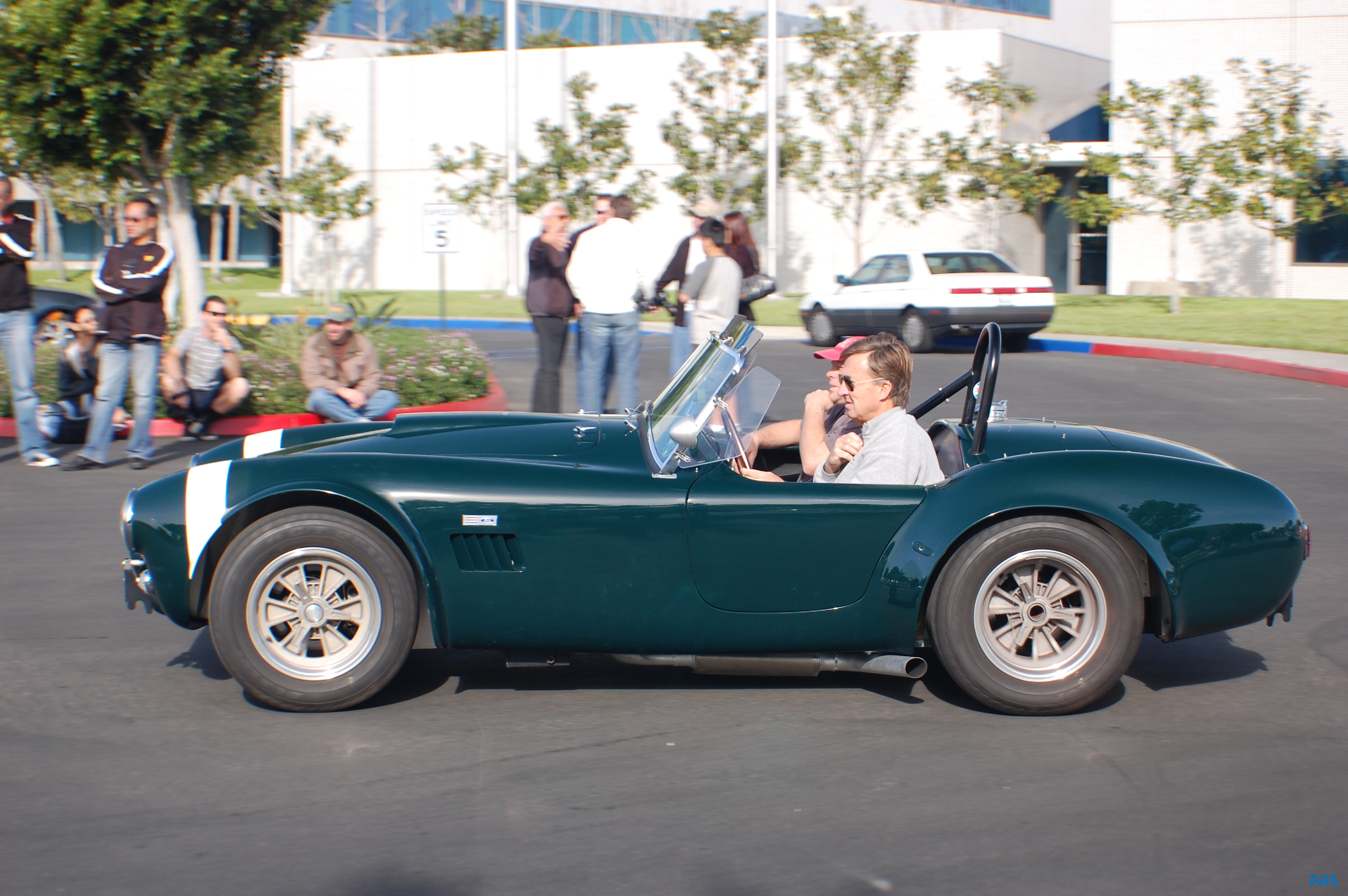 DSC_1311.JPG