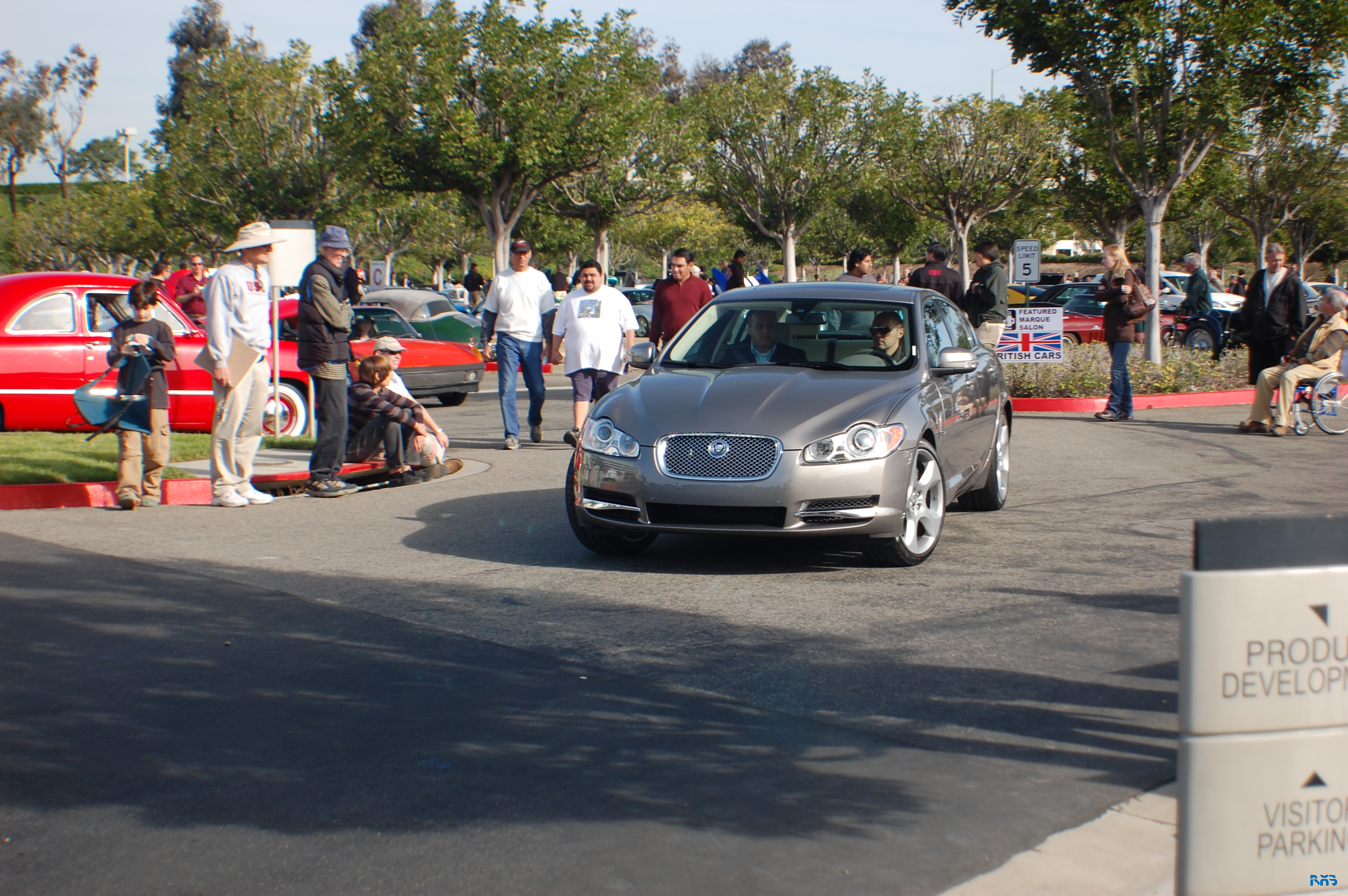 DSC_1318.JPG