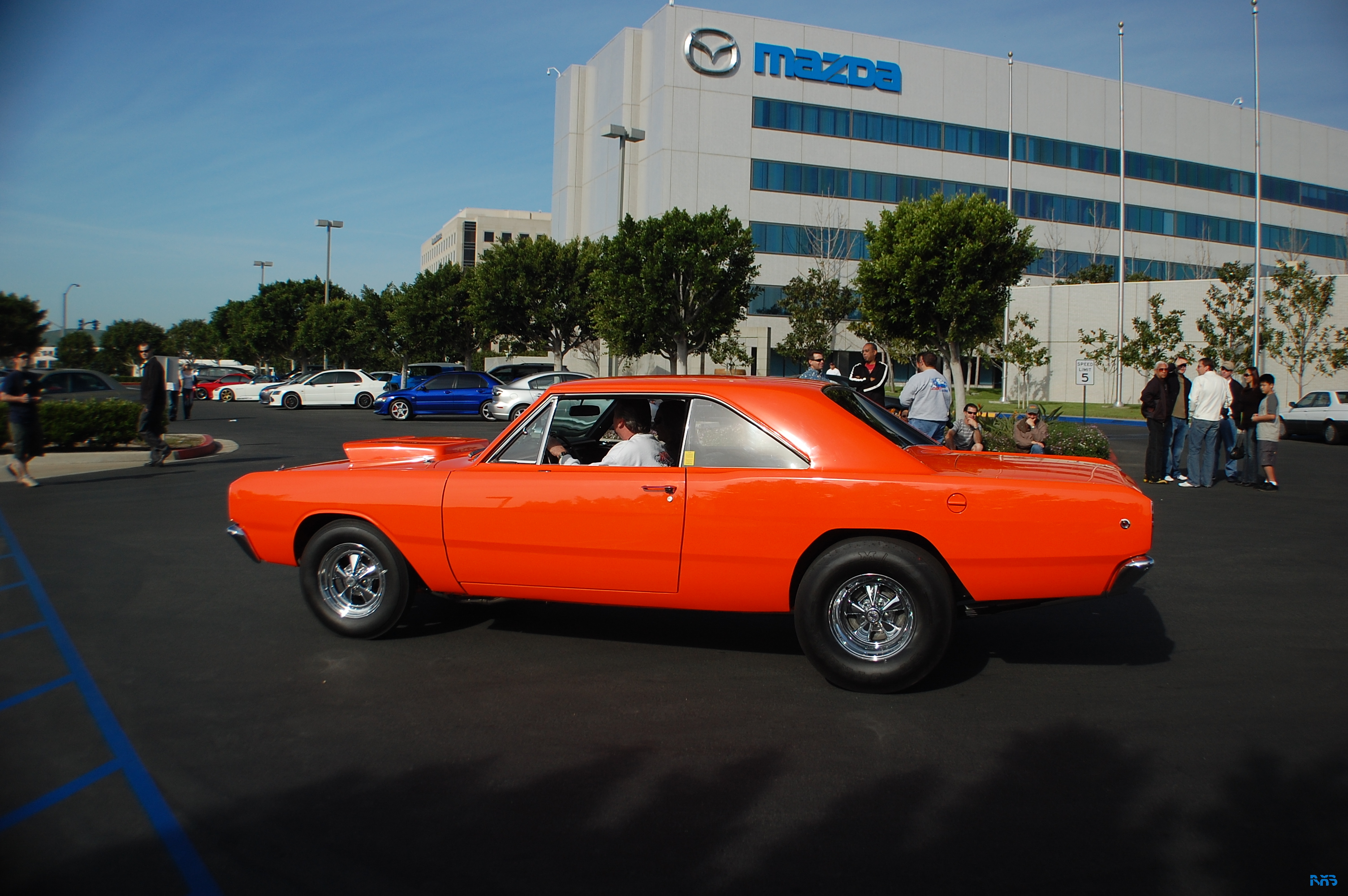 DSC_1347.JPG