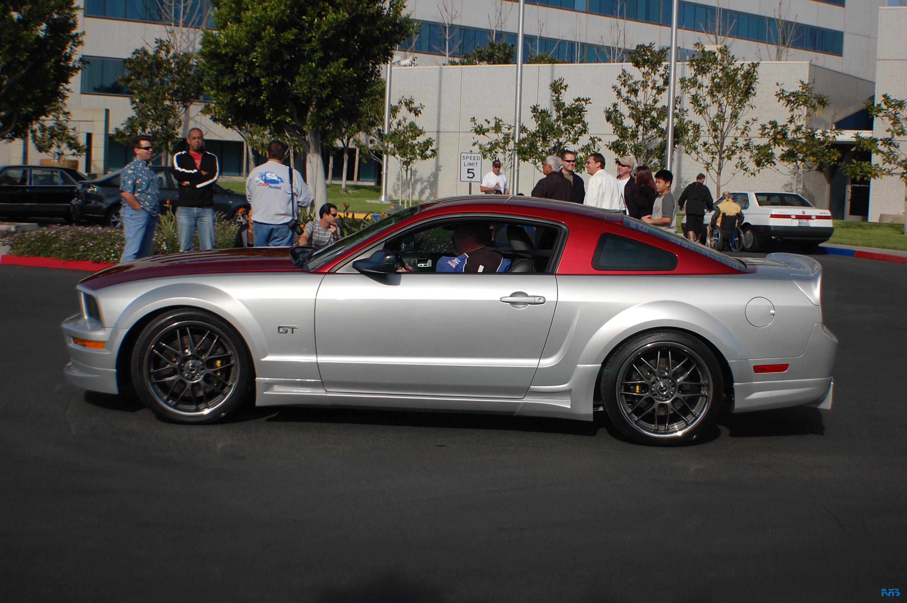 DSC_1352.JPG