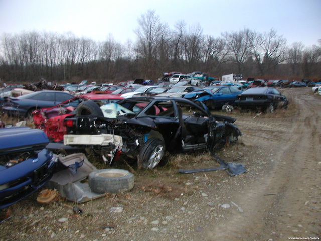 Picture 001.jpg