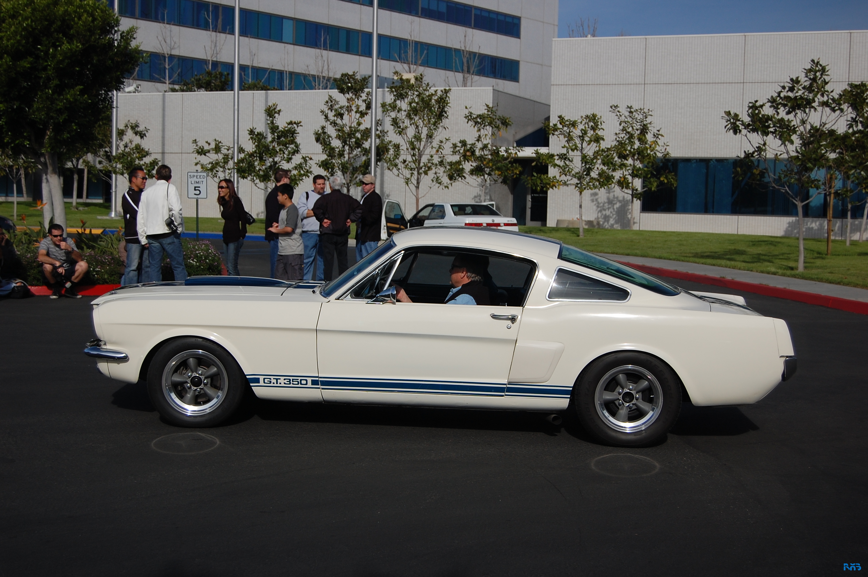 DSC_1361.JPG