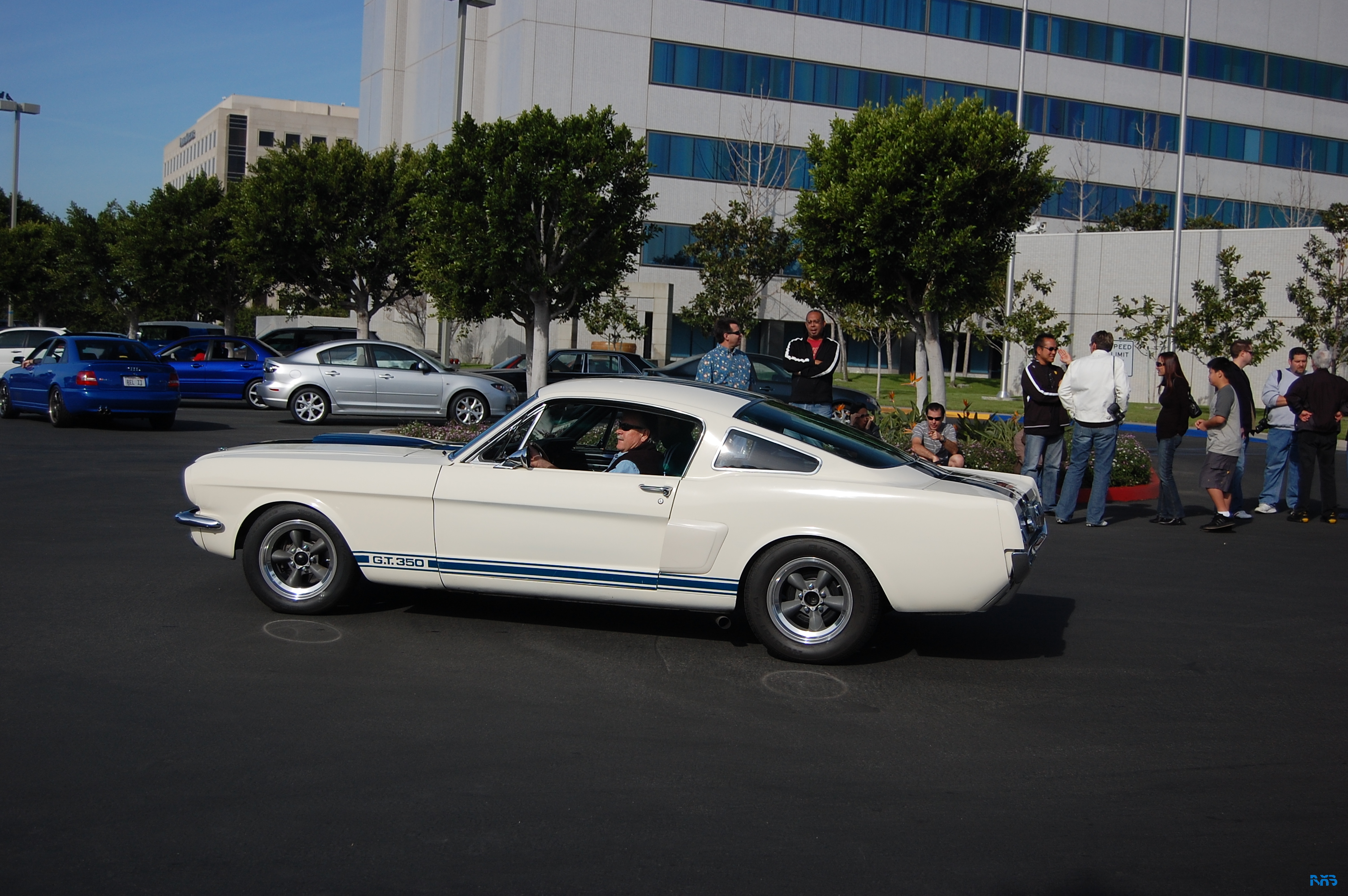 DSC_1363.JPG