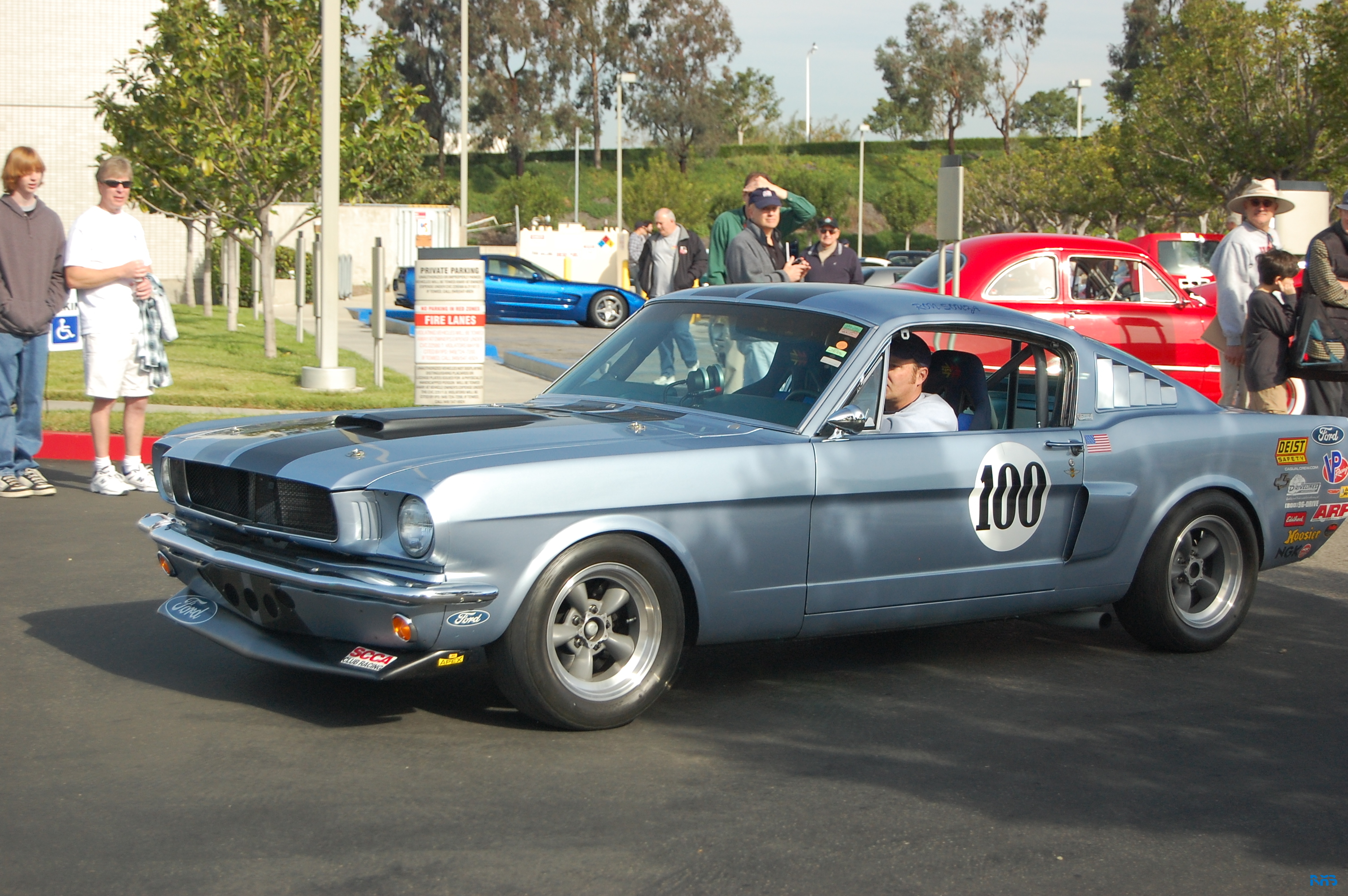 DSC_1371.JPG