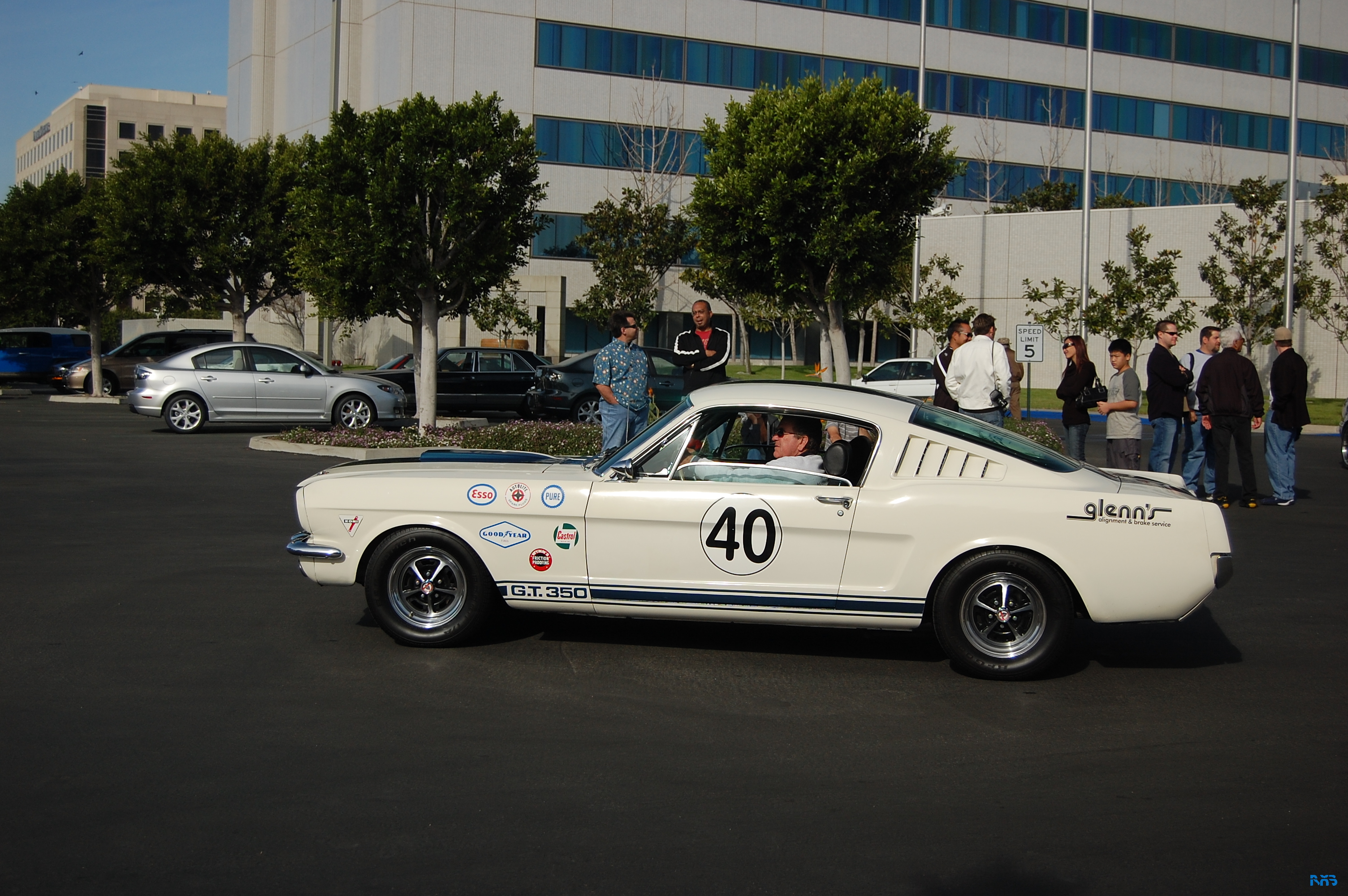 DSC_1378.JPG