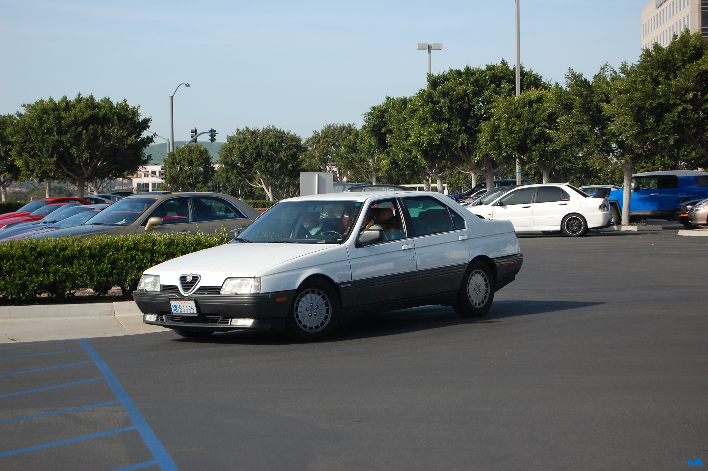 DSC_1390.JPG