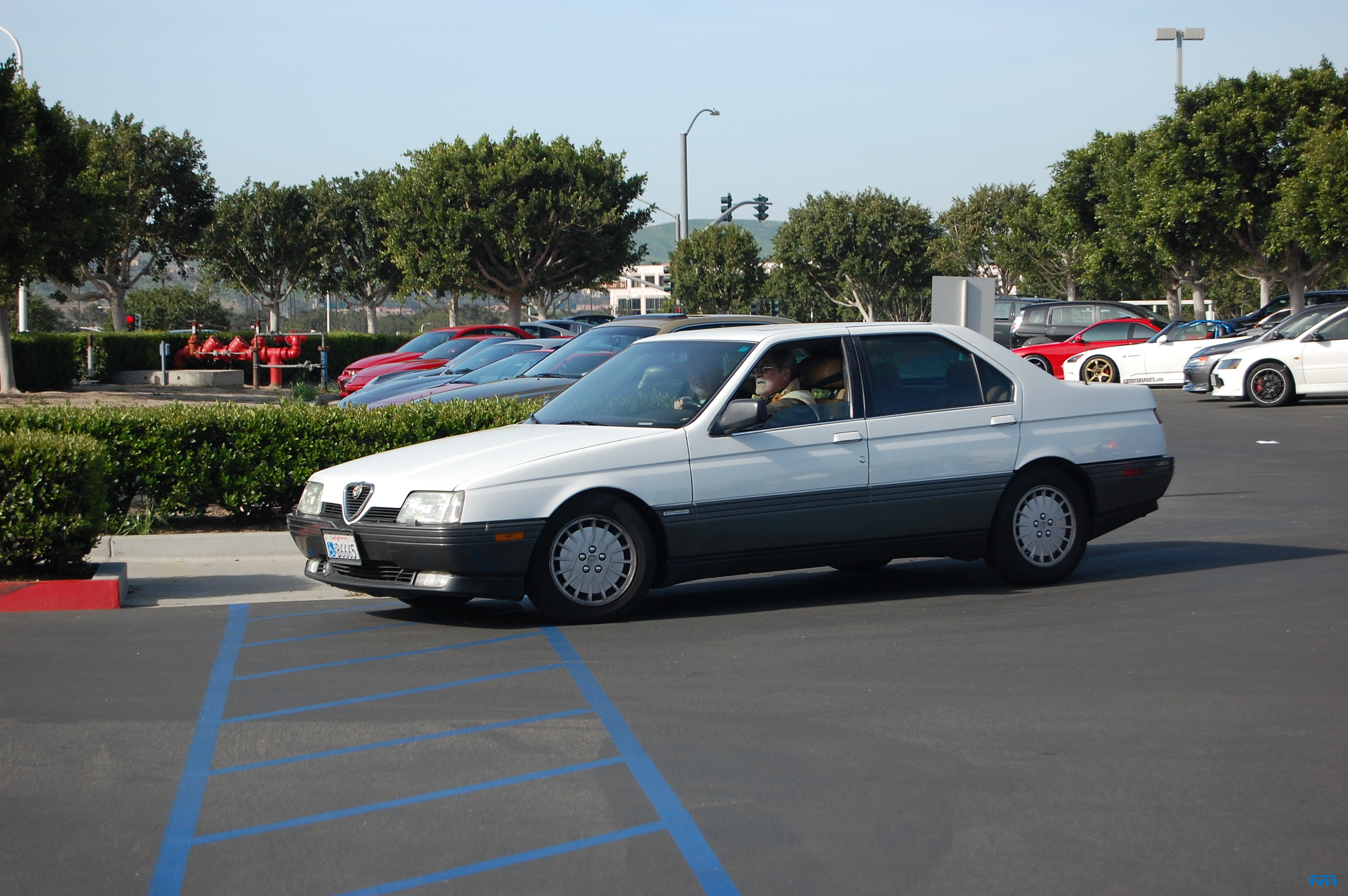 DSC_1391.JPG