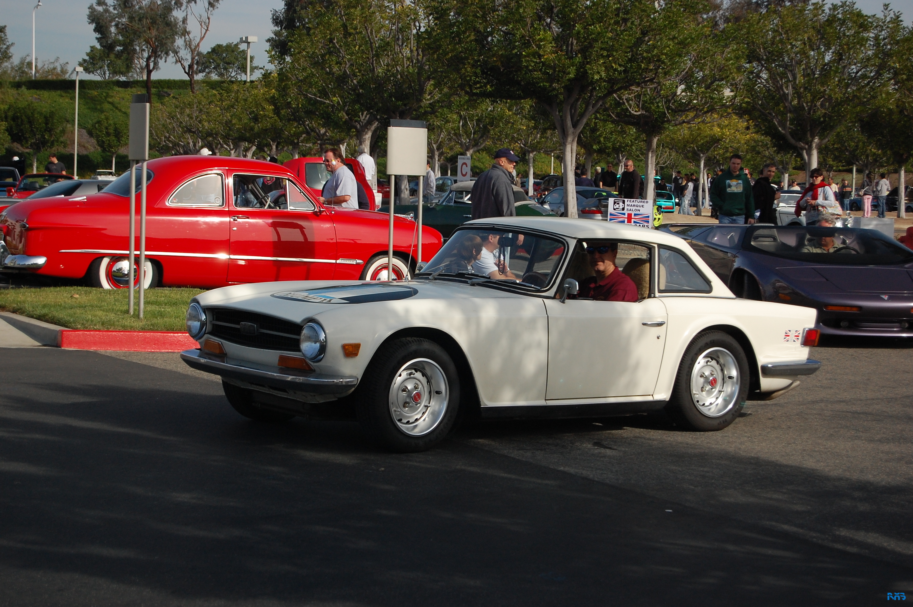 DSC_1392.JPG