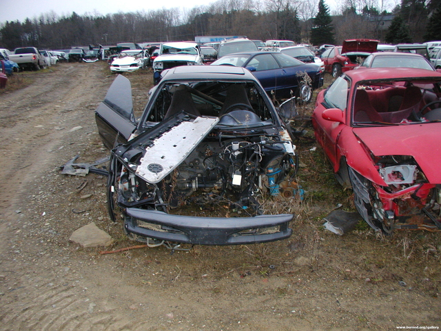 Picture 003.jpg