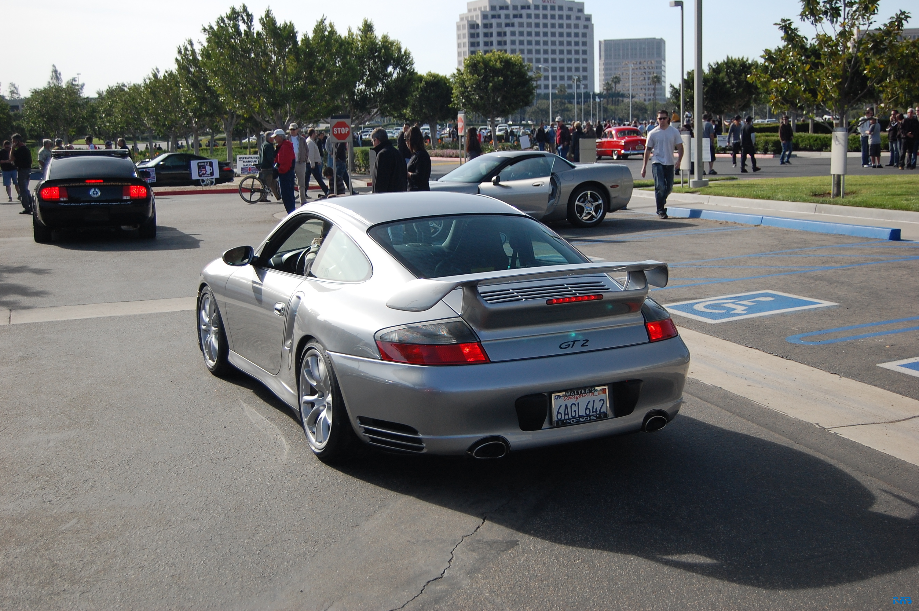DSC_1436.JPG