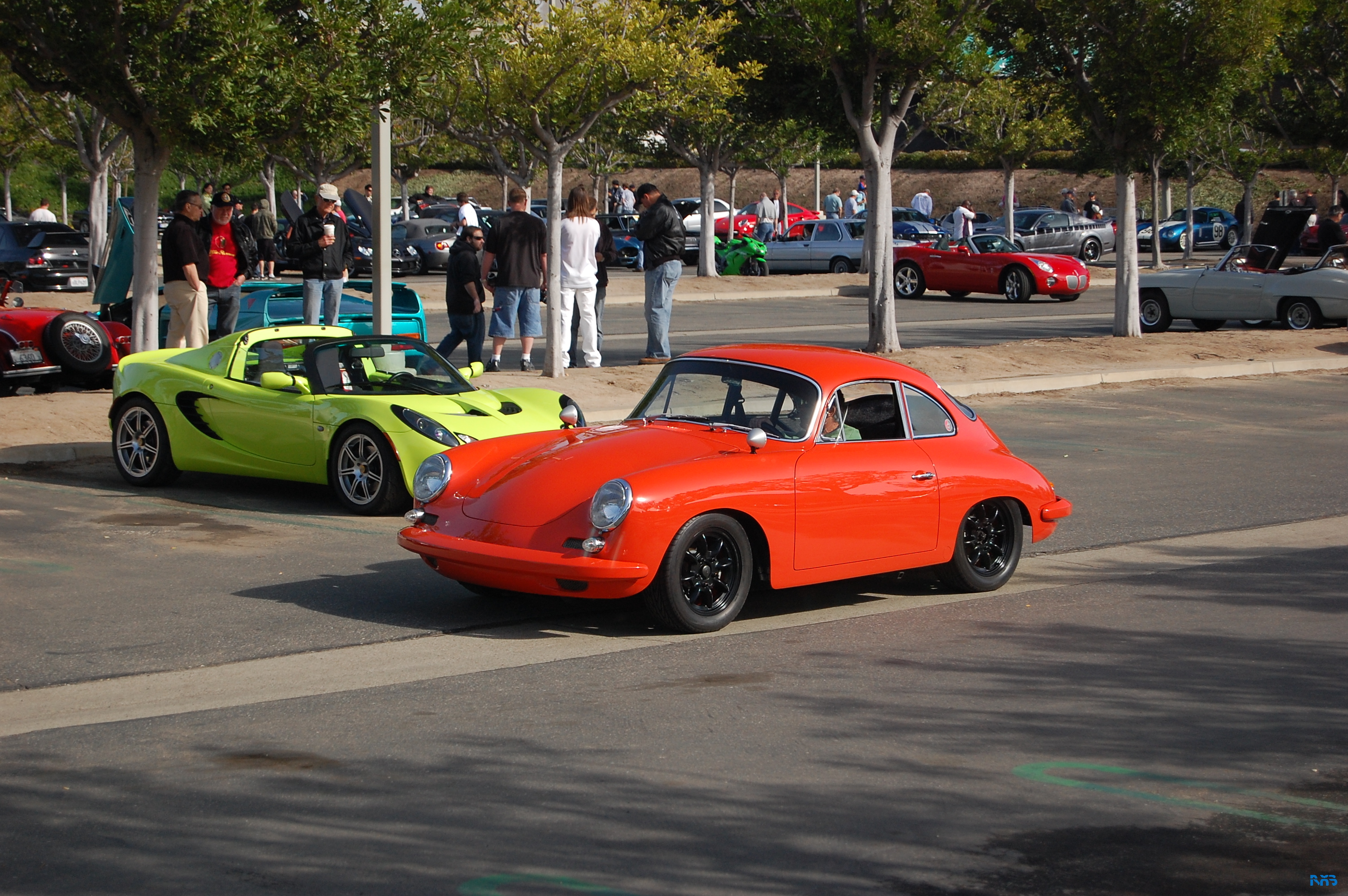 DSC_1453.JPG