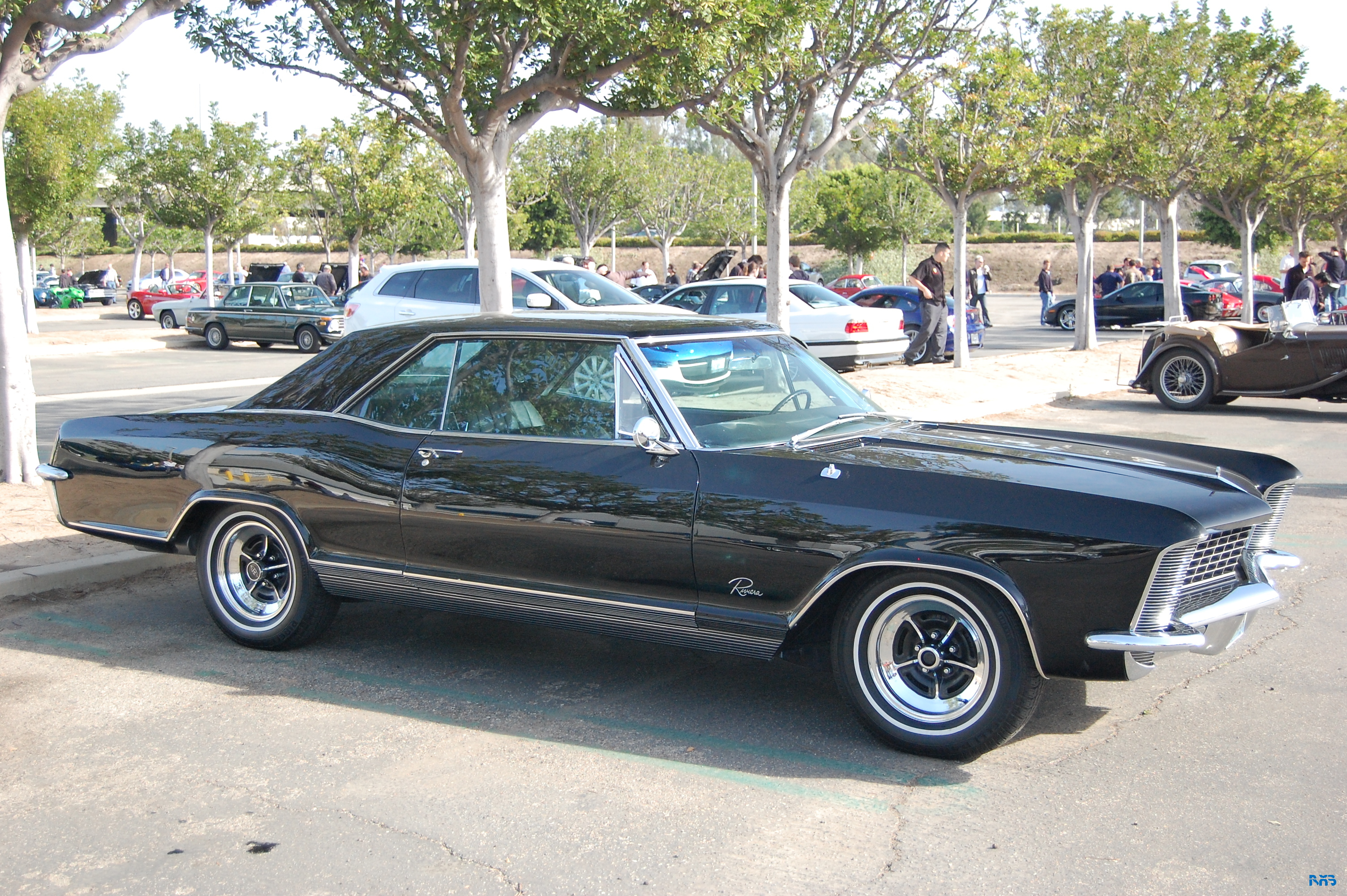 DSC_1456.JPG