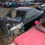 Picture 005.jpg