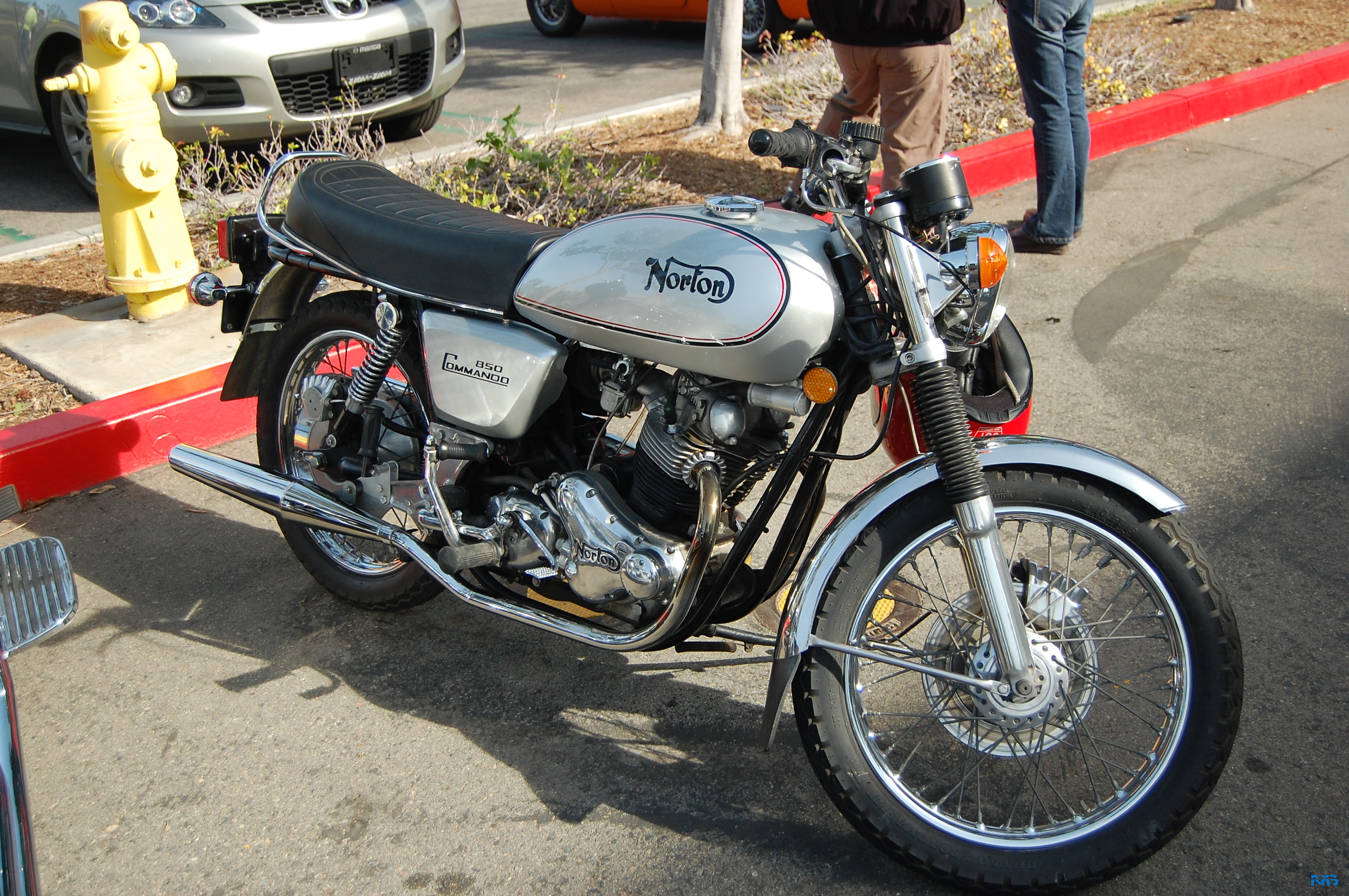 DSC_1479.JPG