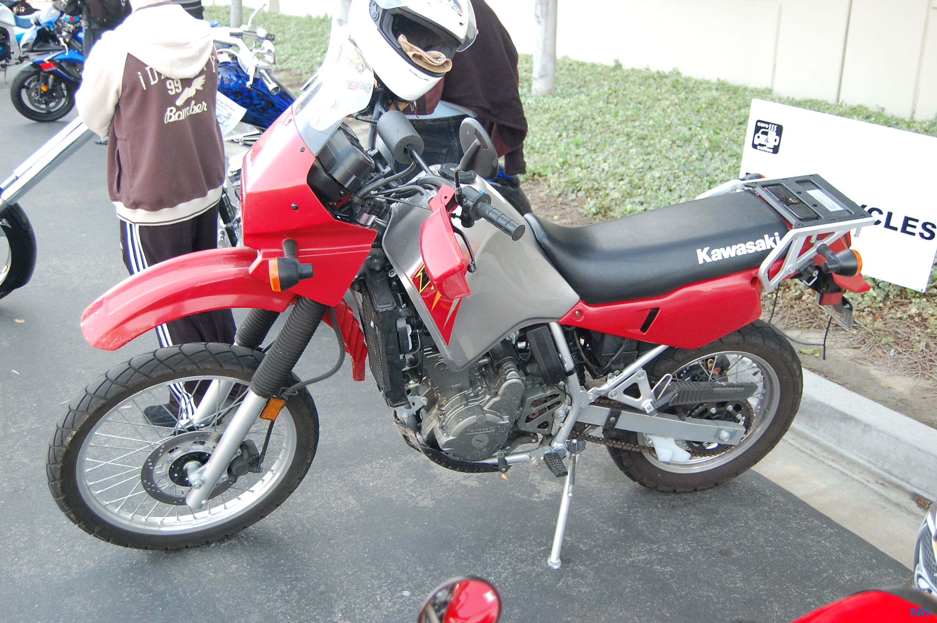 DSC_1482.JPG