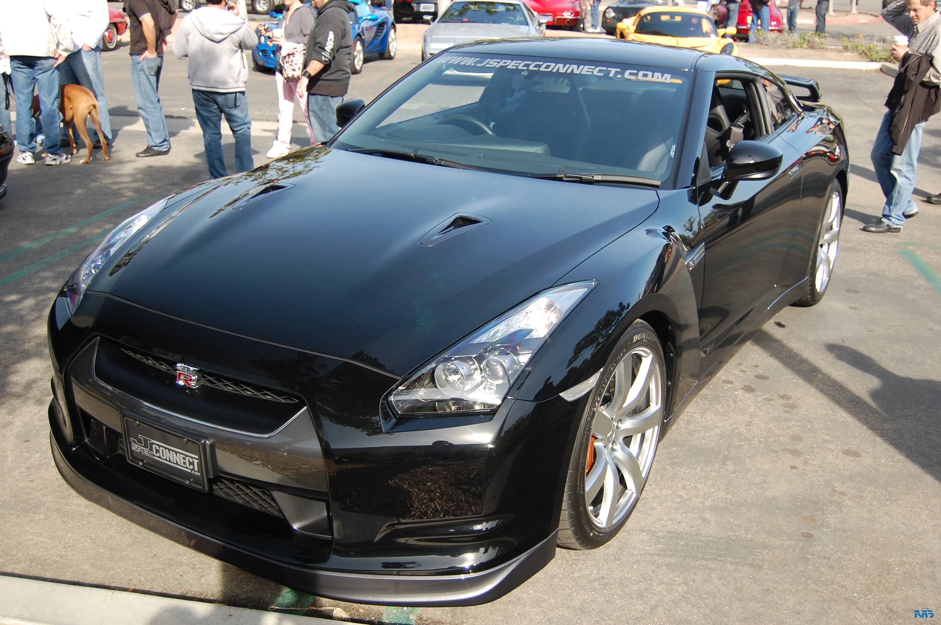 DSC_1505.JPG