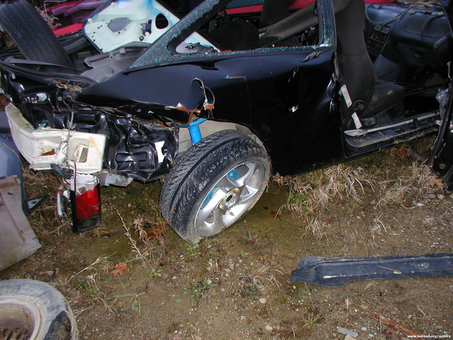 Picture 006.jpg