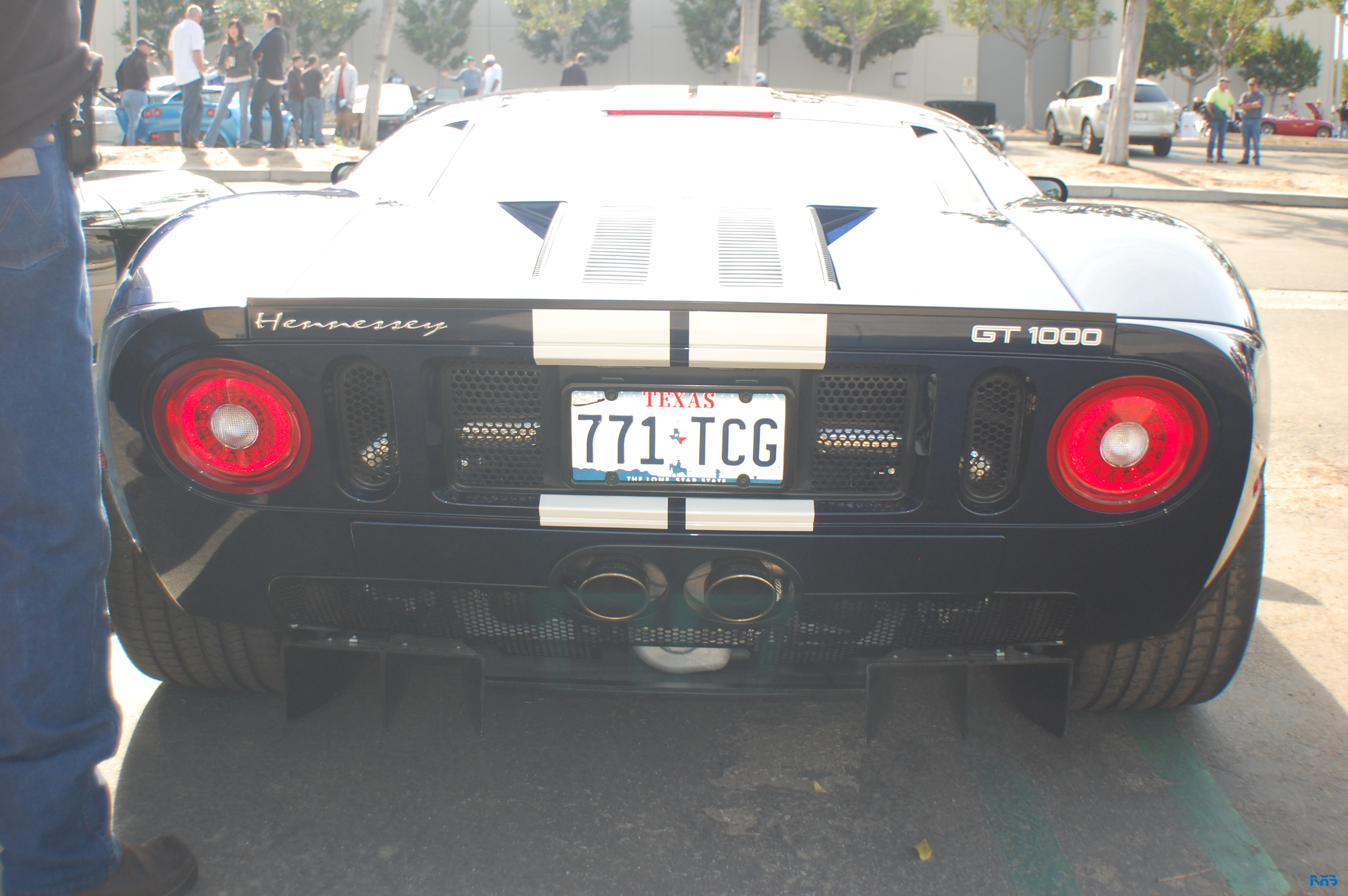 DSC_1532.JPG