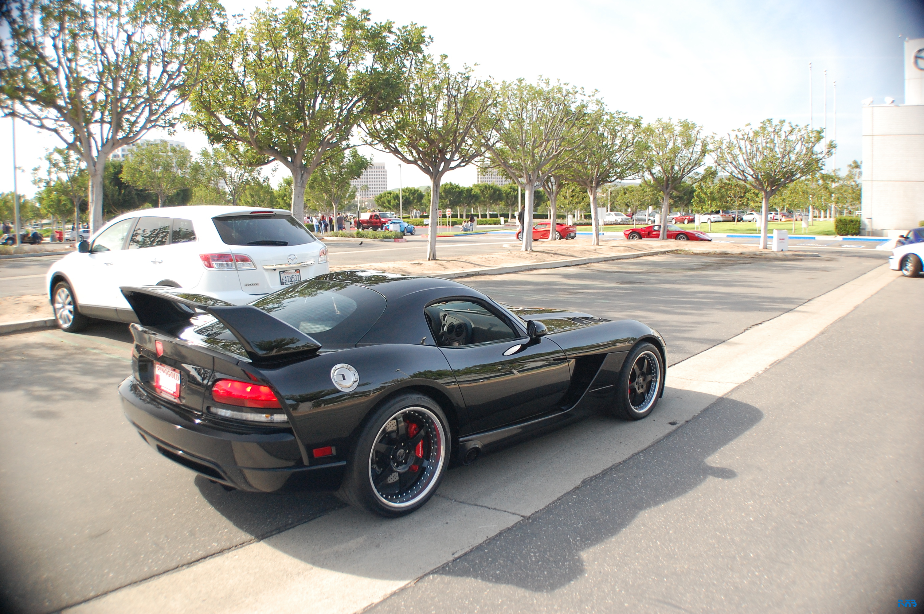 DSC_1540.JPG