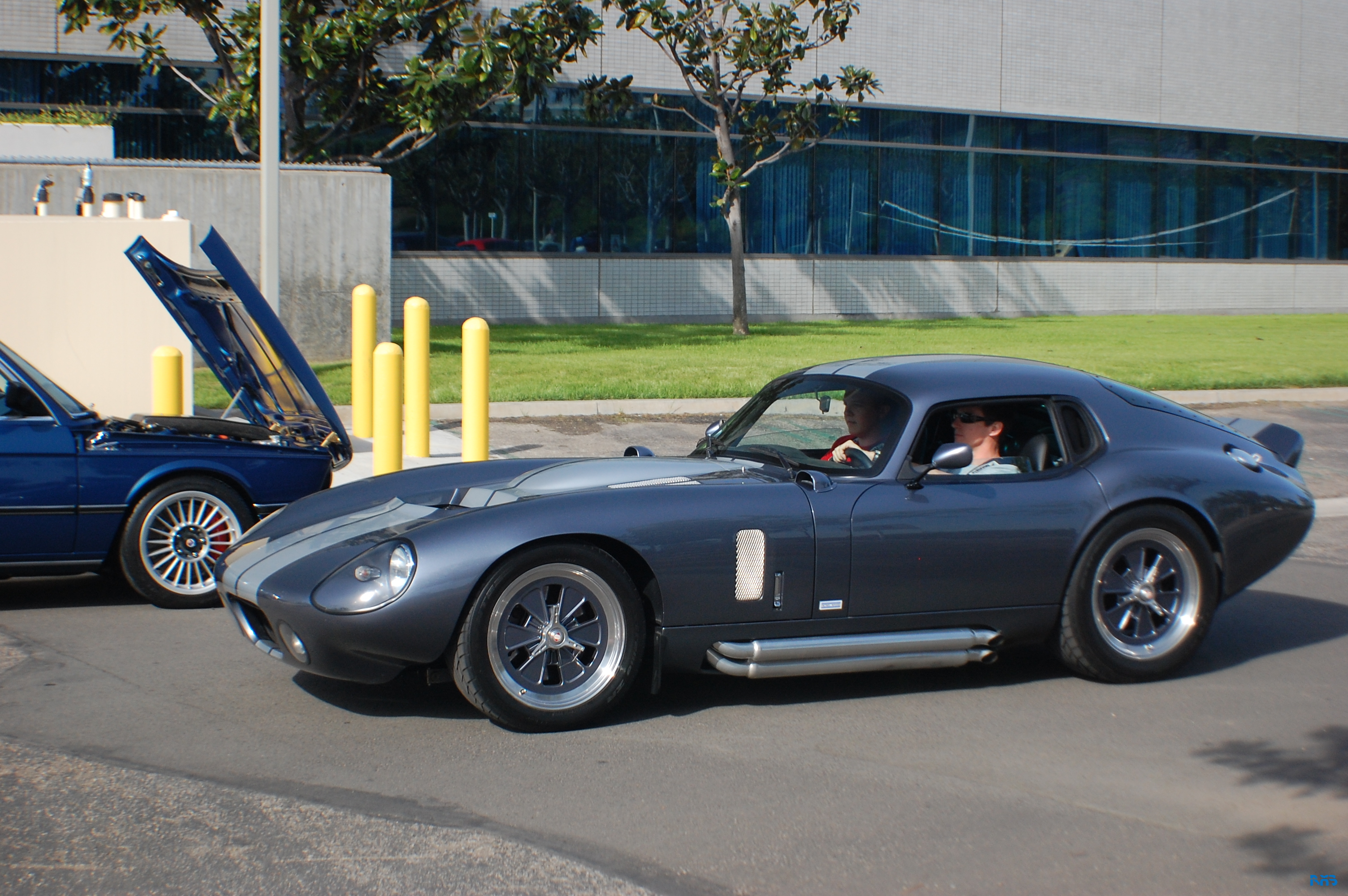 DSC_1551.JPG