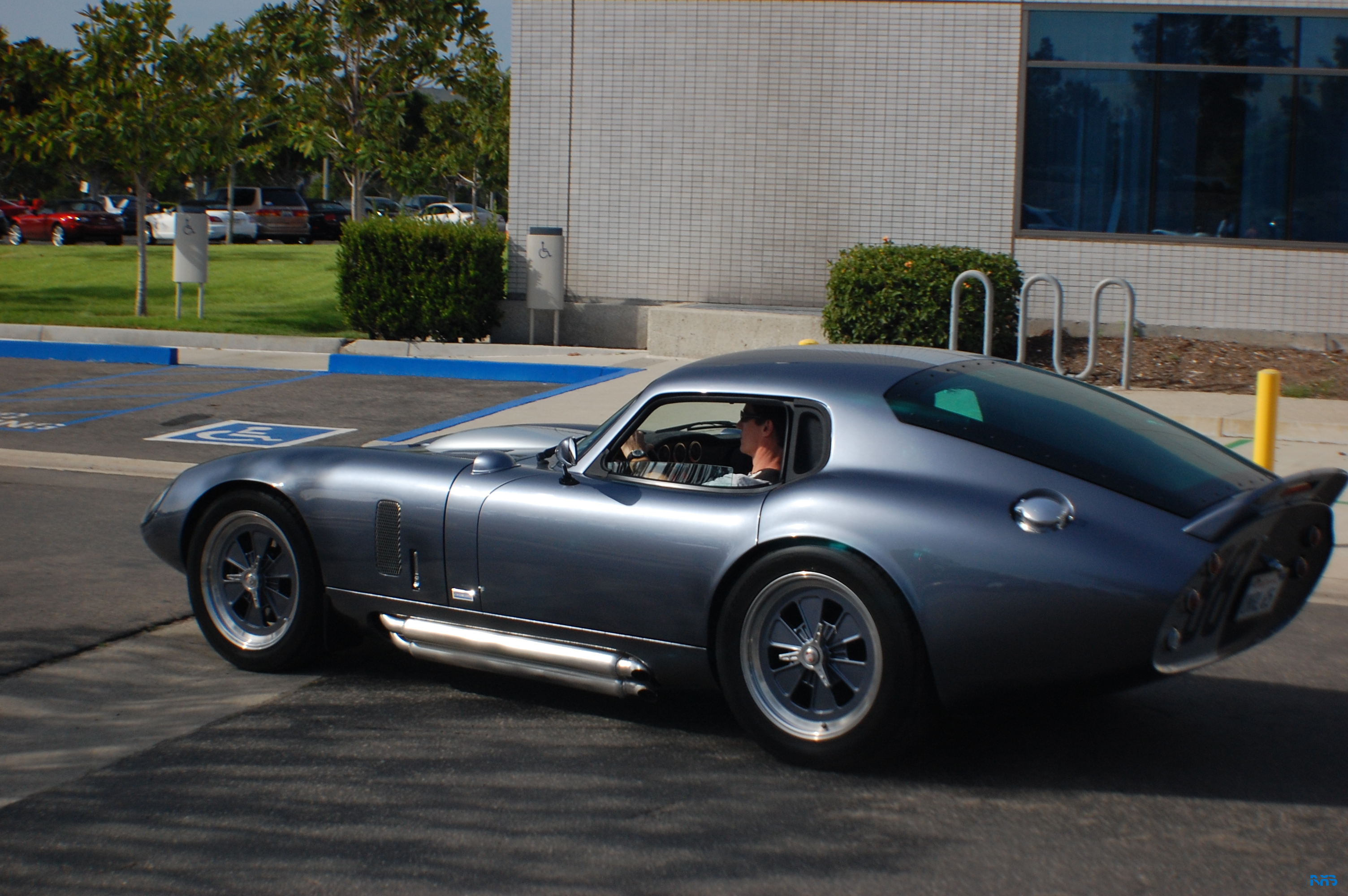 DSC_1554.JPG
