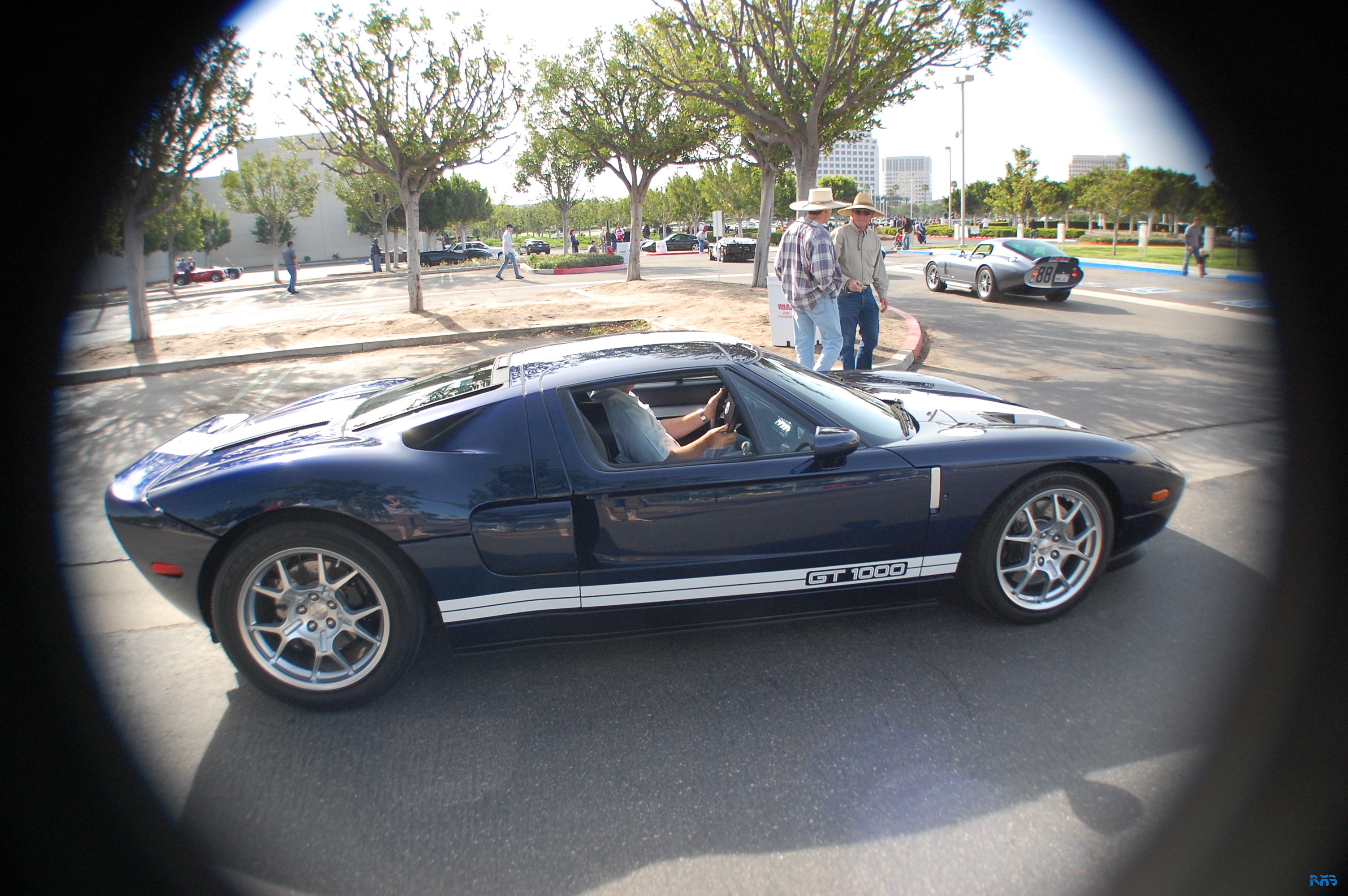 DSC_1556.JPG