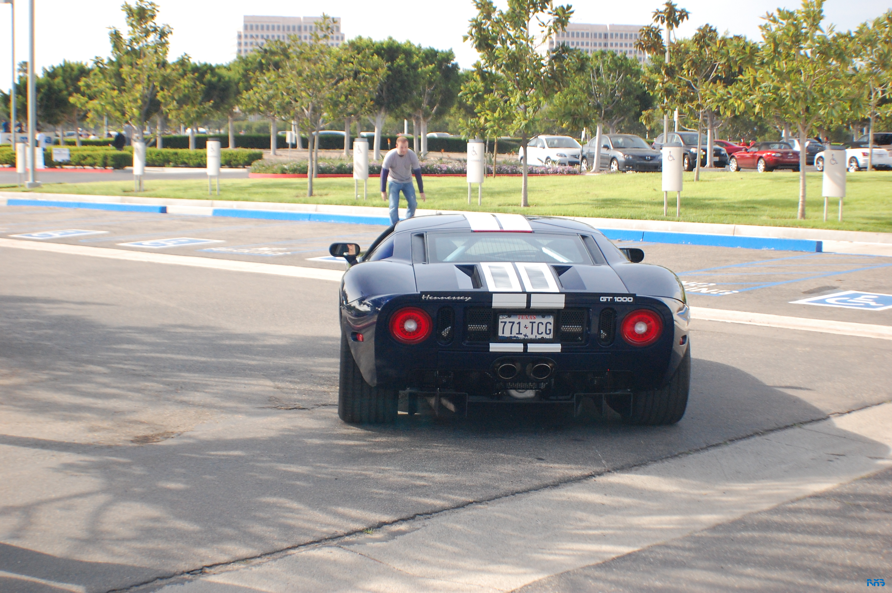 DSC_1558.JPG