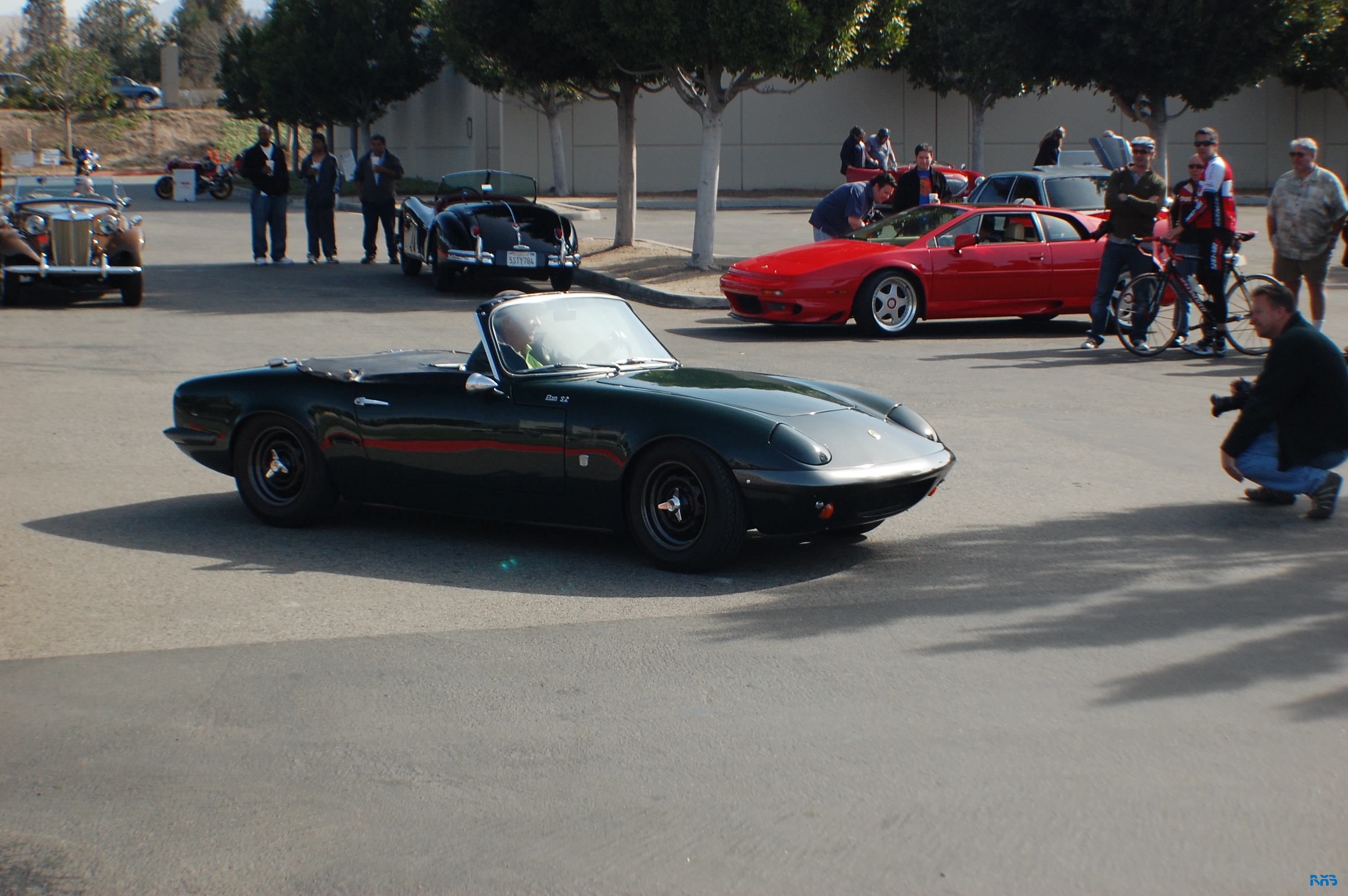 DSC_1564.JPG