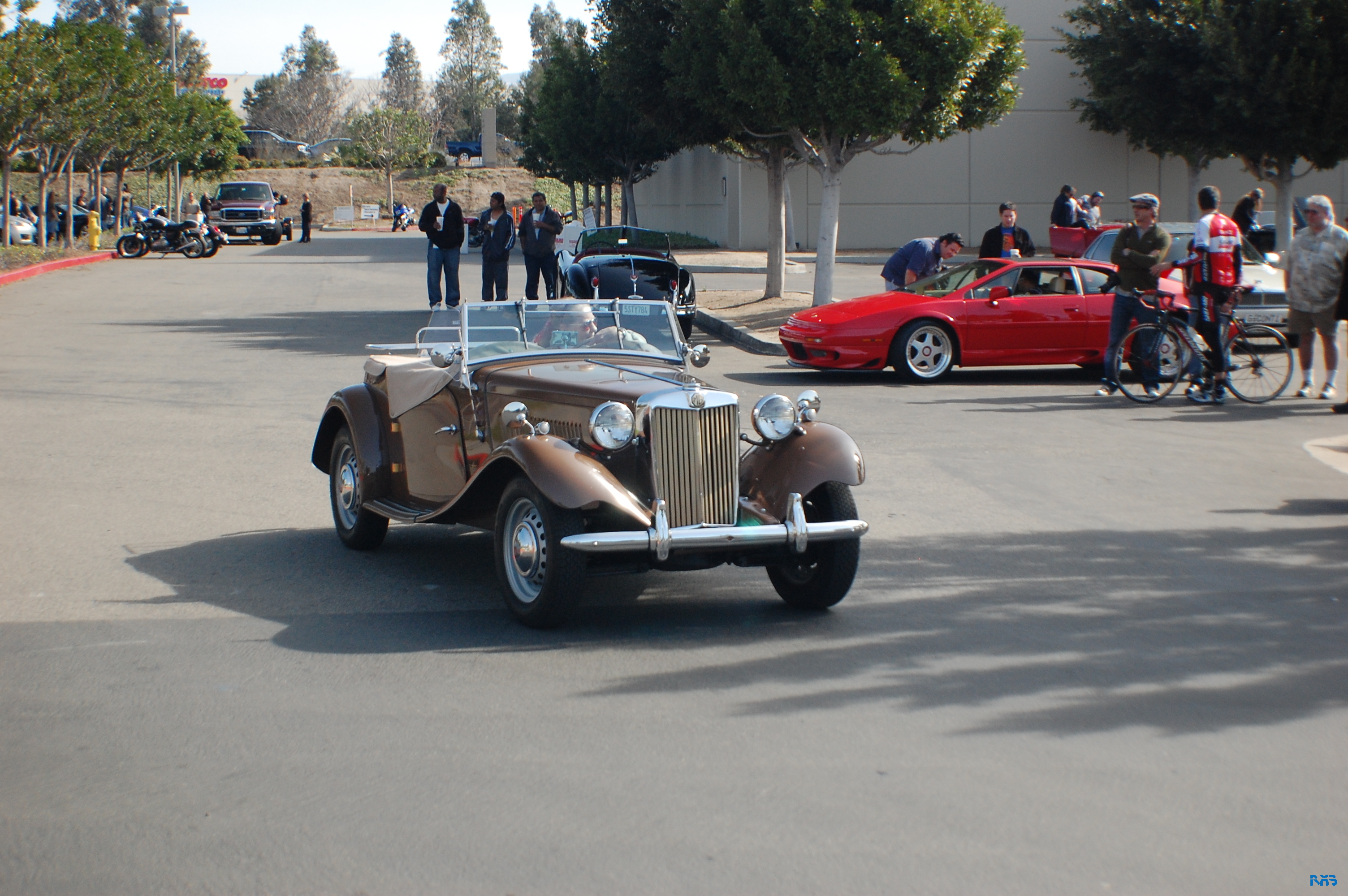 DSC_1565.JPG