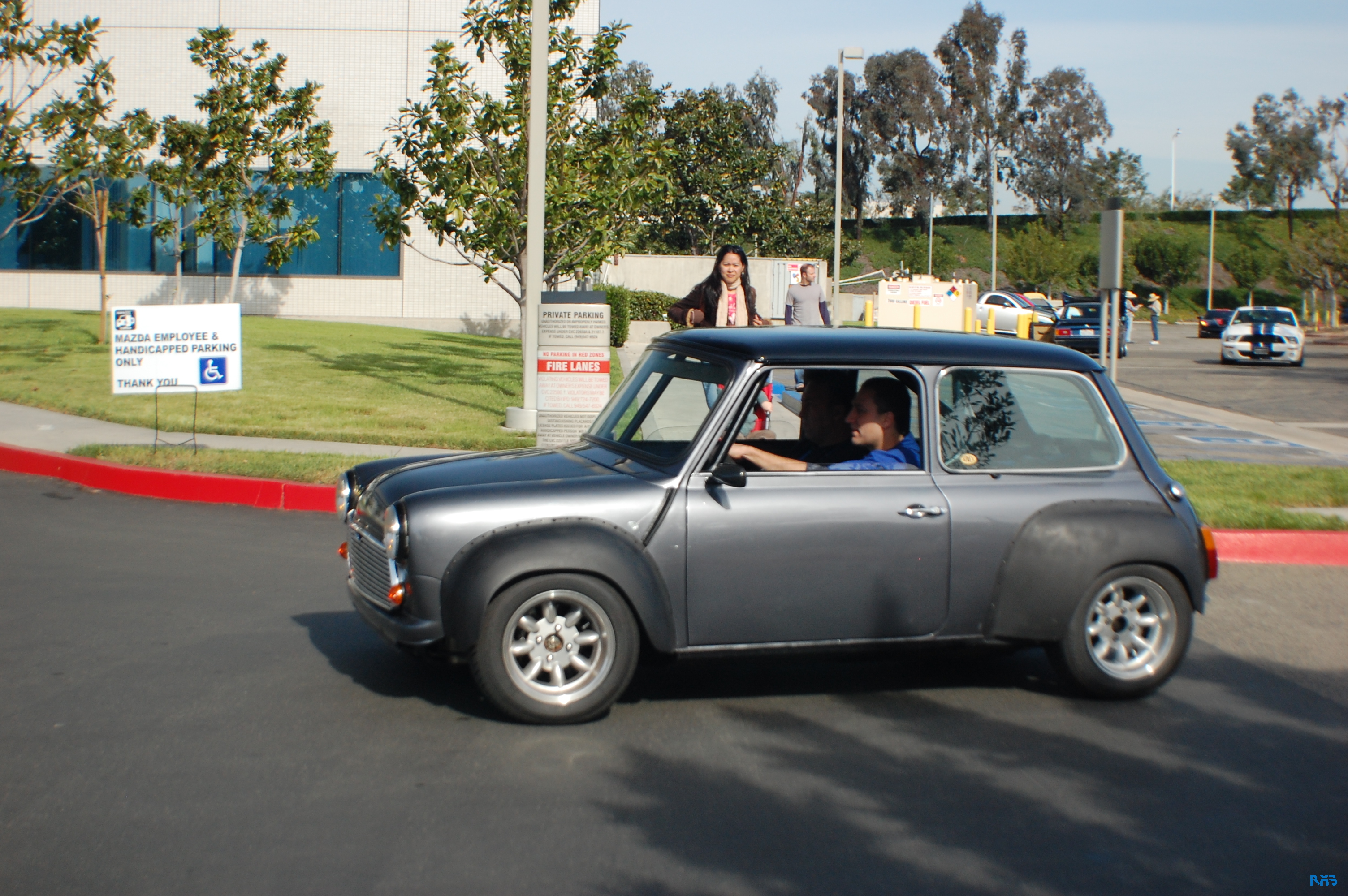 DSC_1567.JPG