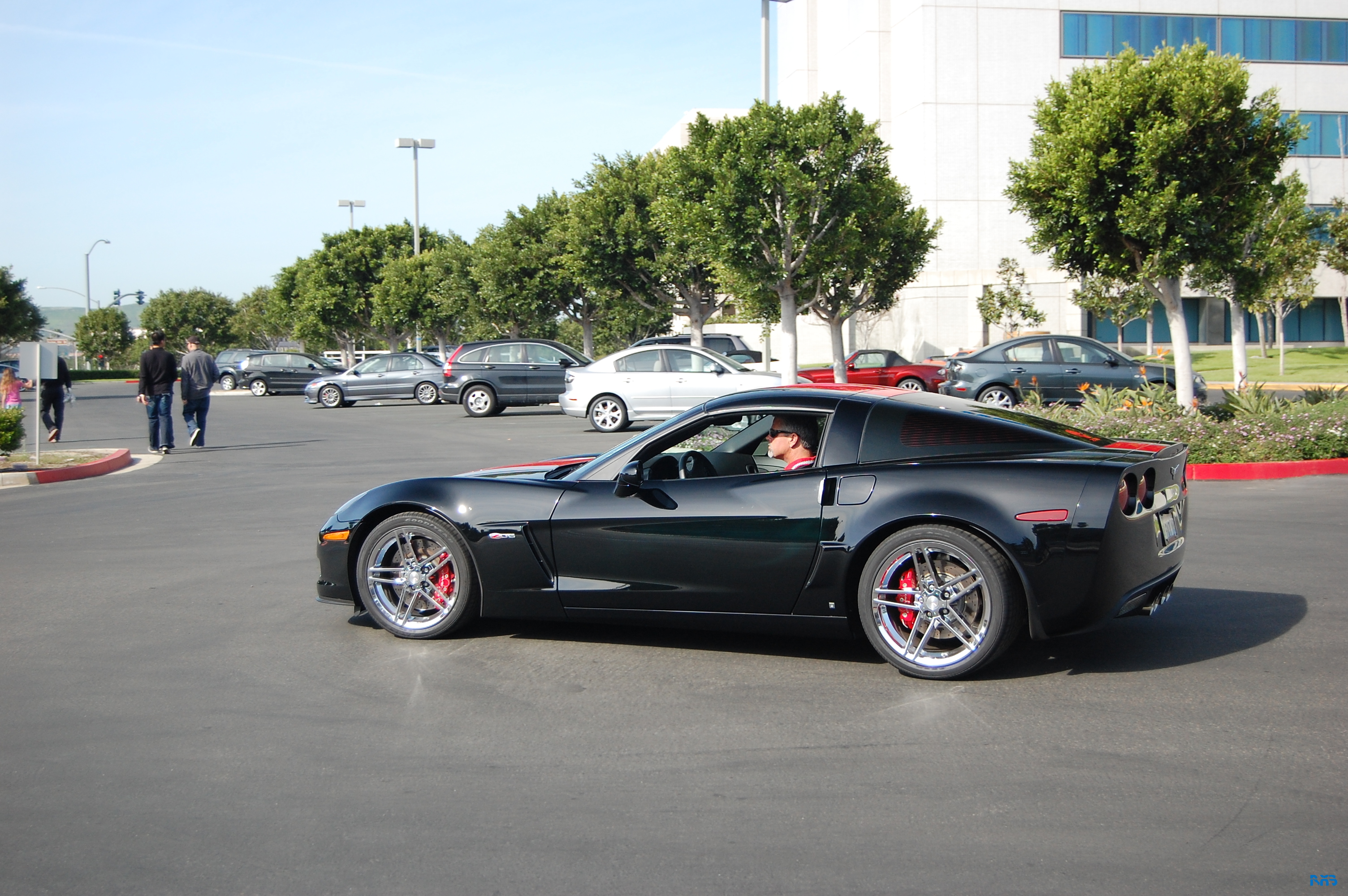 DSC_1575.JPG