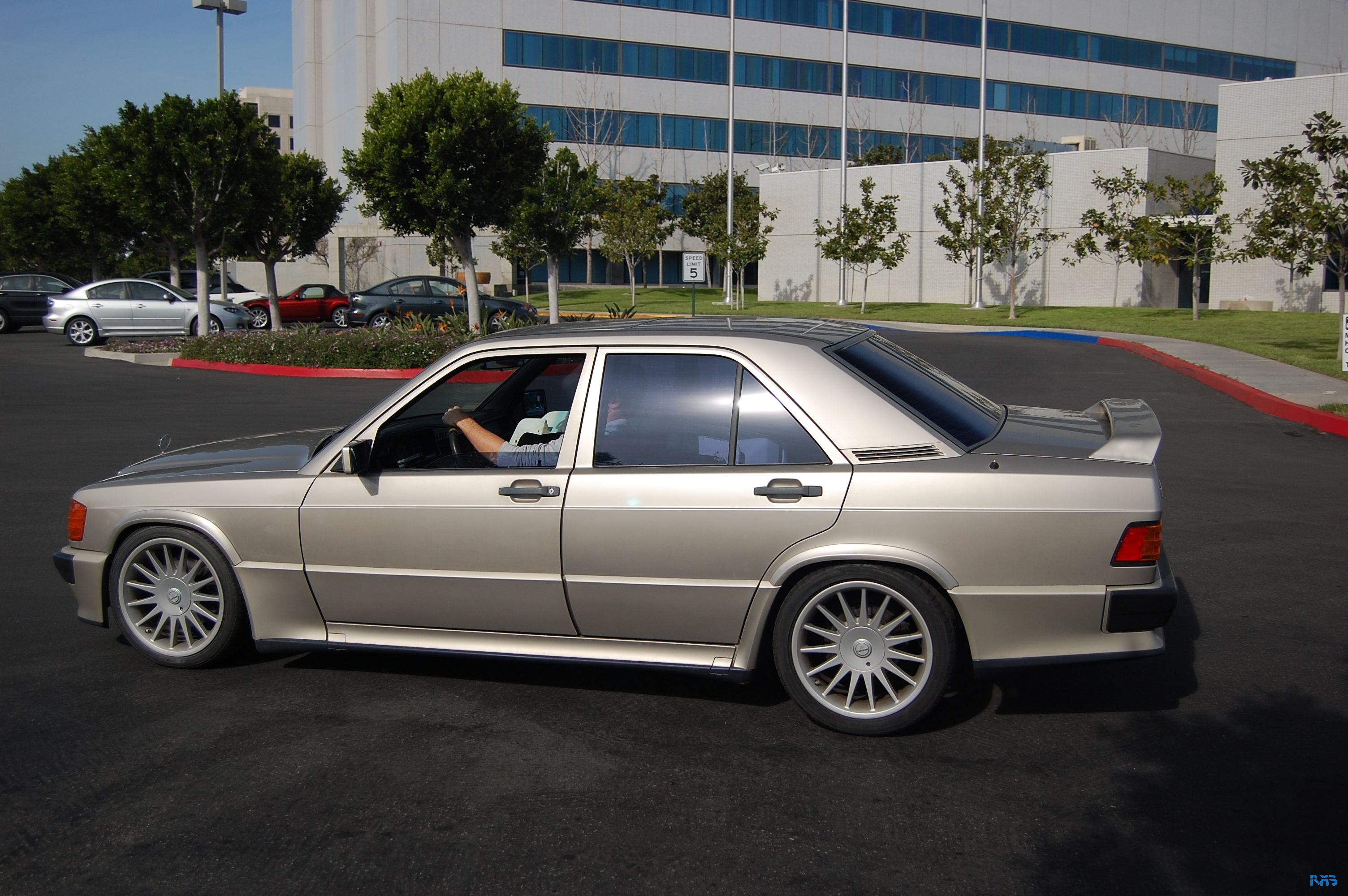 DSC_1579.JPG