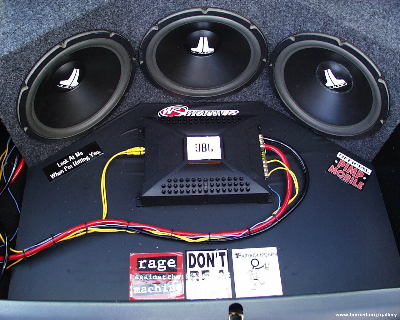 trunk3 copy.jpg