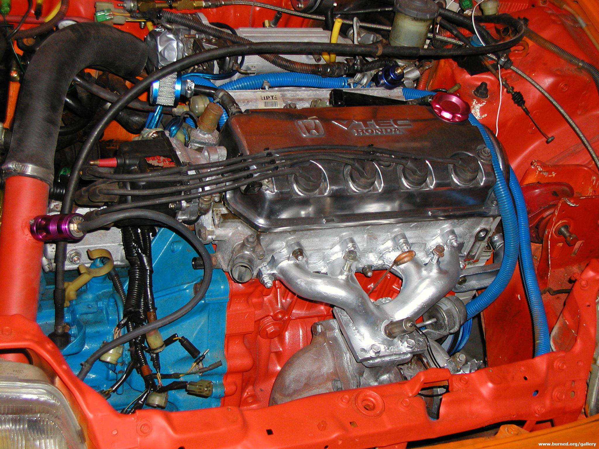 P1010045.JPG