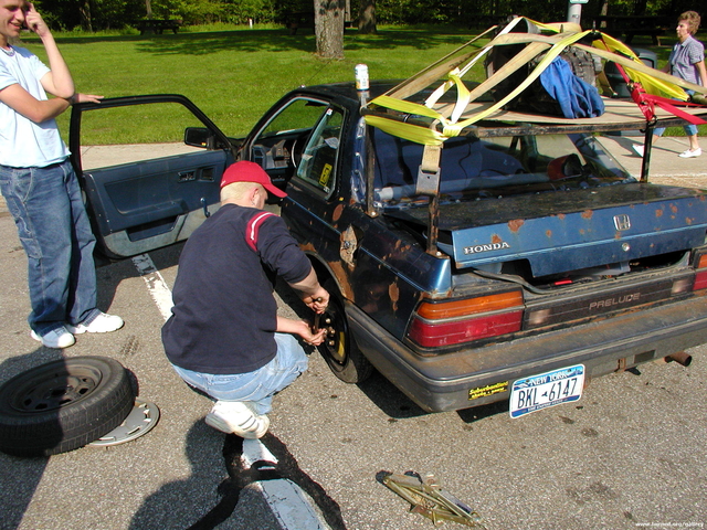 Picture 016.jpg